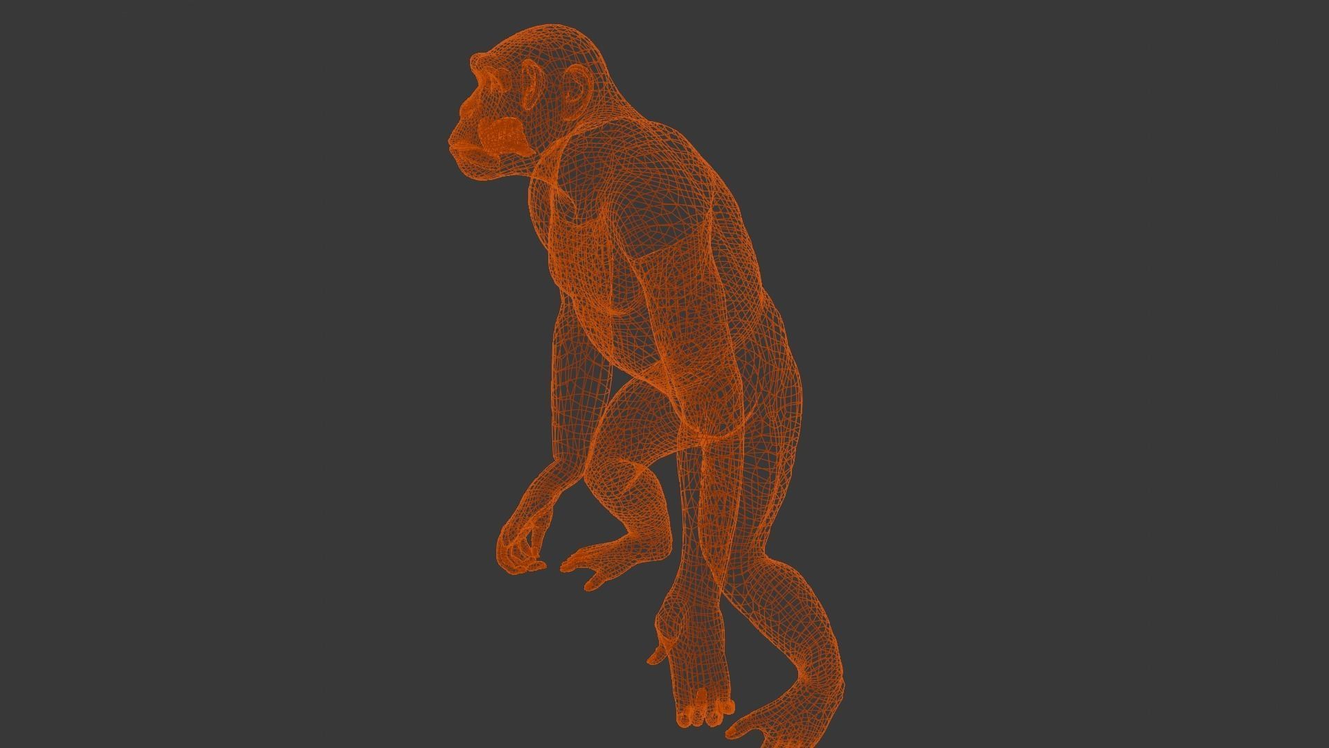 Animated Monkey 3D Model Low-poly 3D model_18