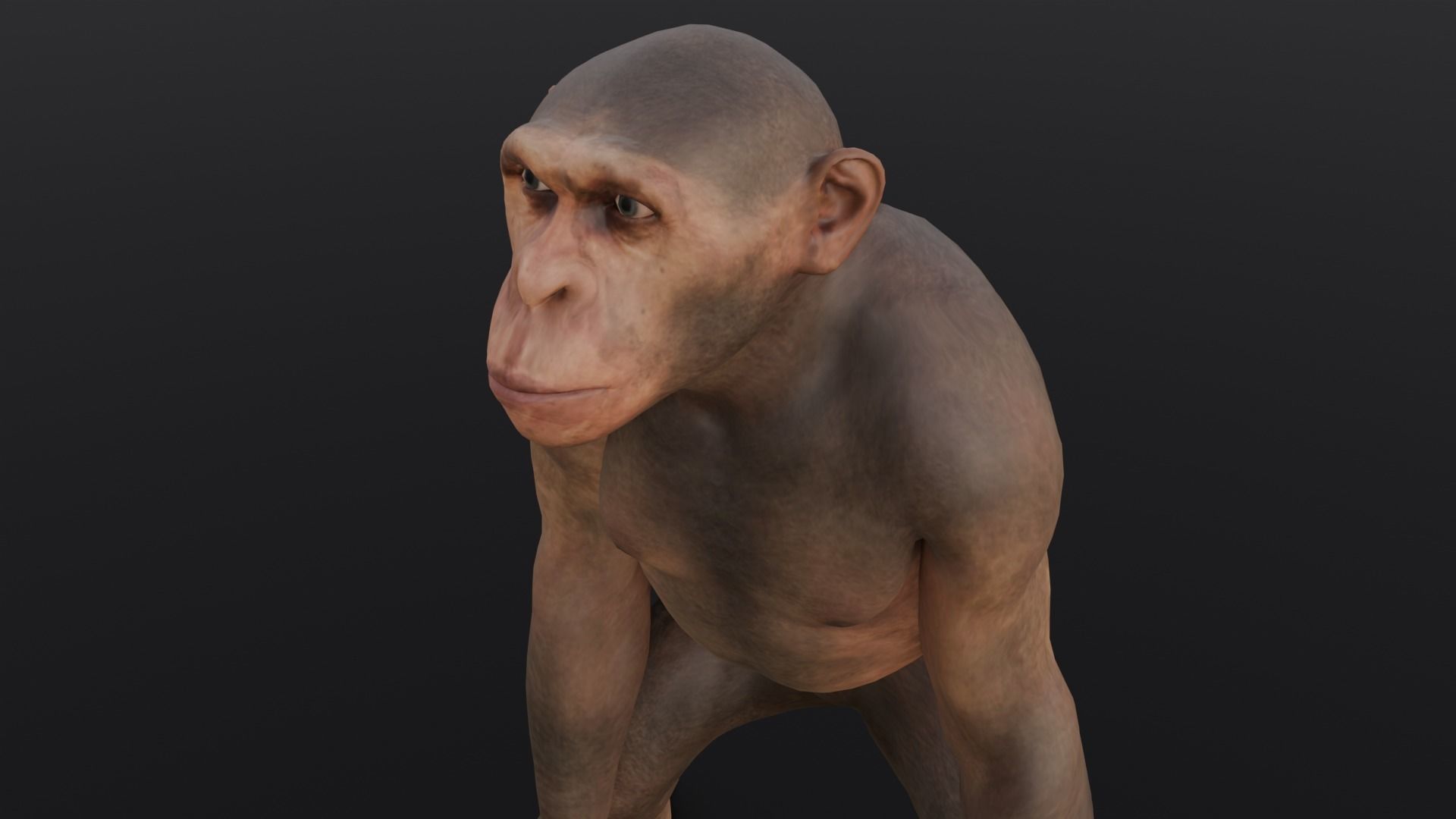 Animated Monkey 3D Model Low-poly 3D model_2