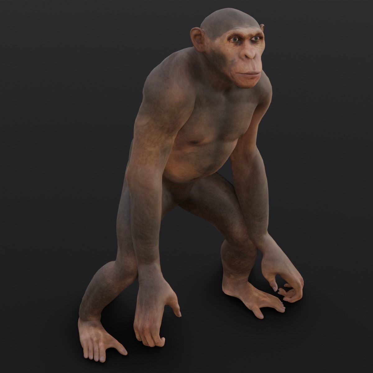 Animated Monkey 3D Model Low-poly 3D model_10