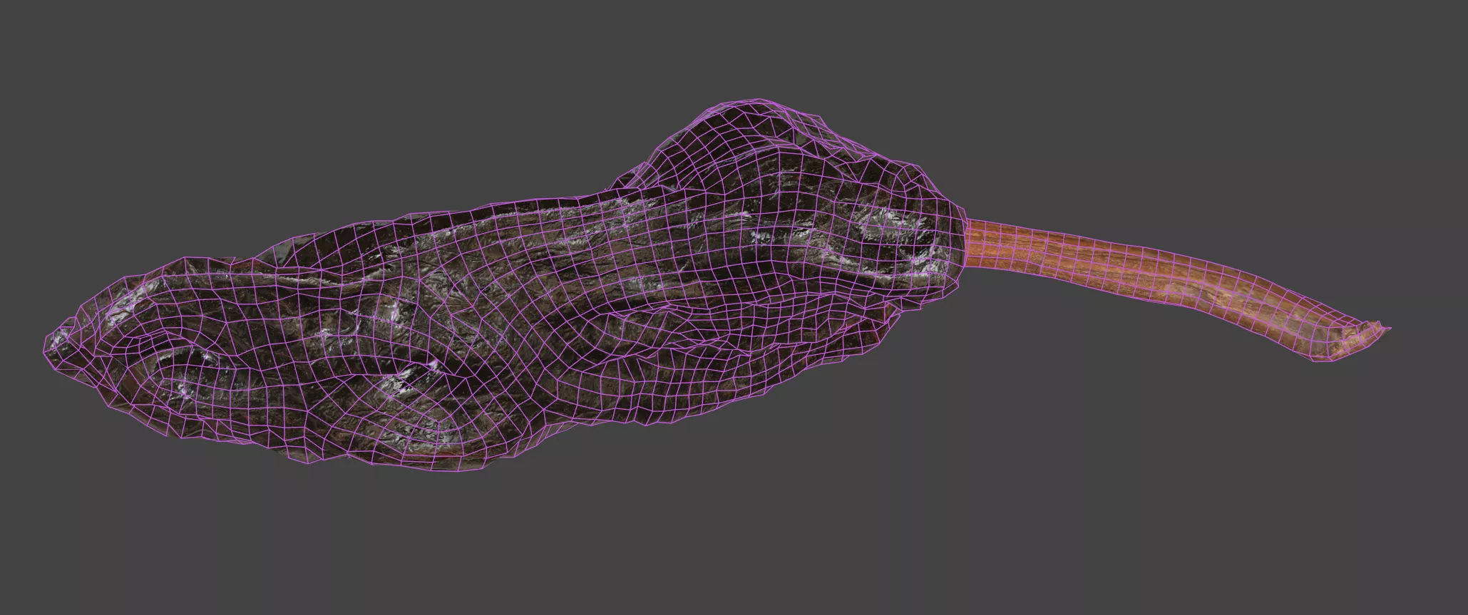 Ancho Chili 3D model_6