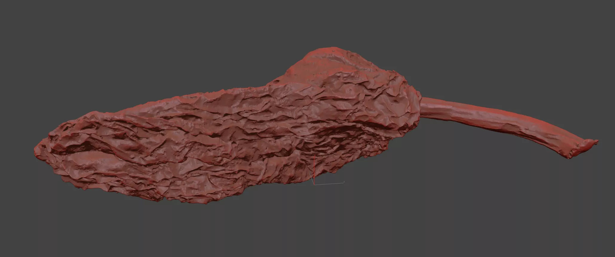 Ancho Chili 3D model_7