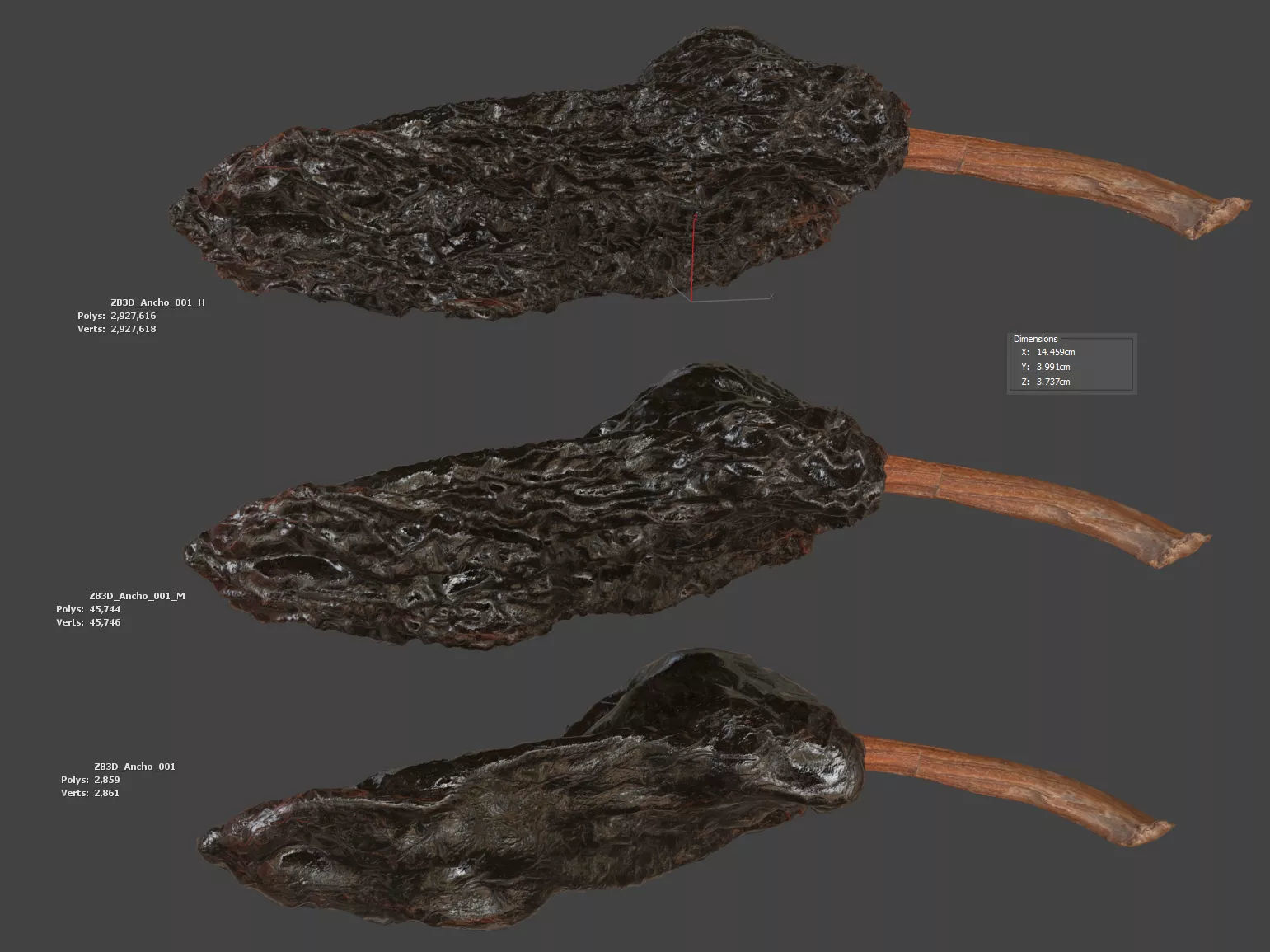 Ancho Chili 3D model_5