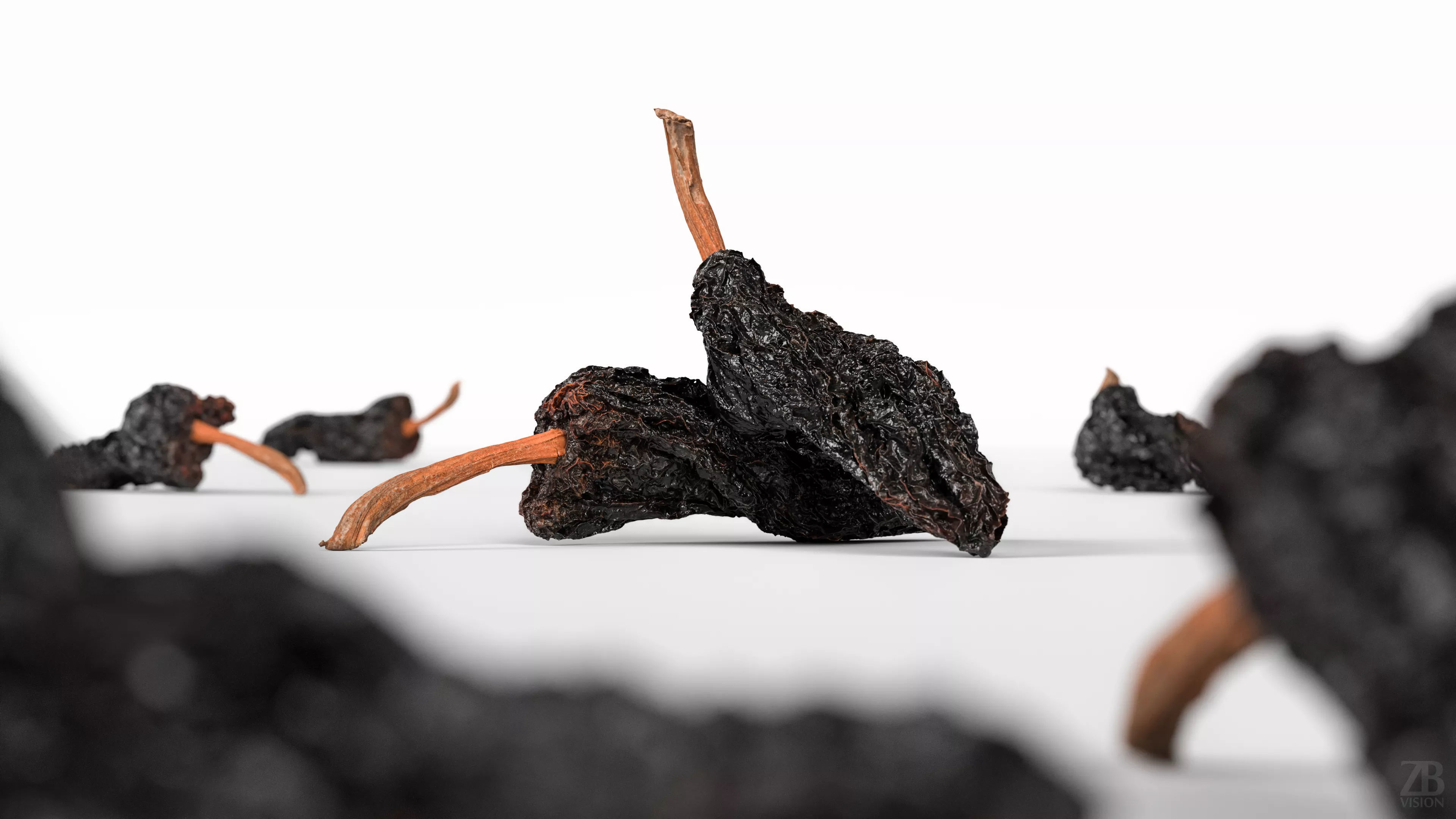 Ancho Chili 3D model_1