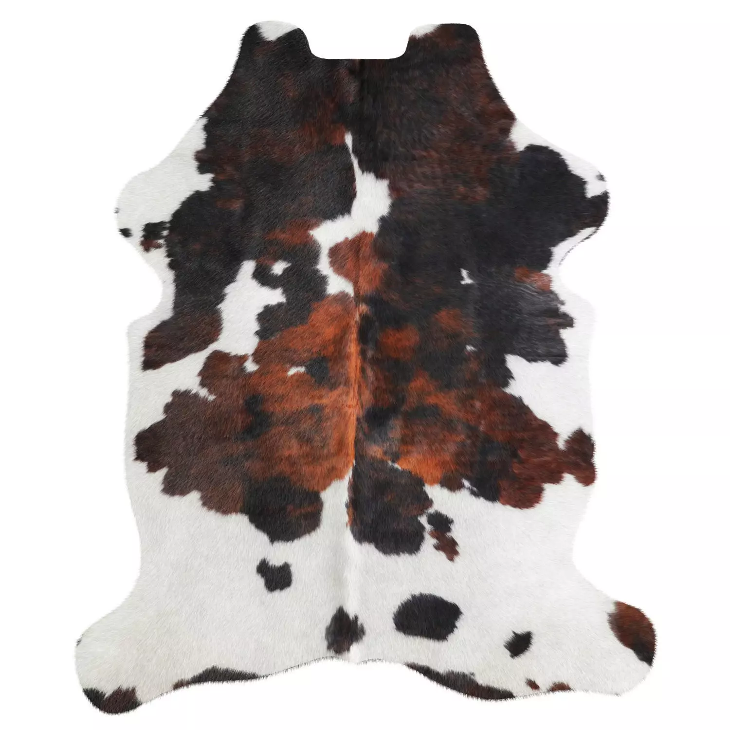 Tricolor Cowhide Rug A27043 3D model_0