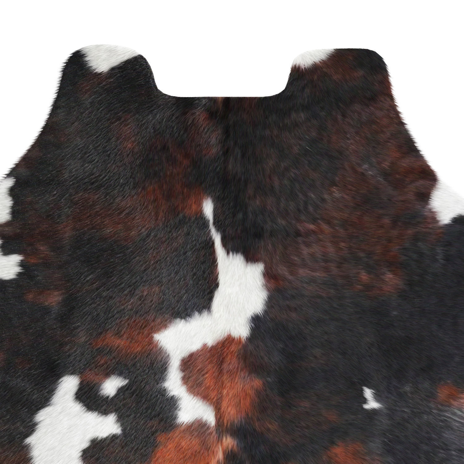 Tricolor Cowhide Rug A27043 3D model_4