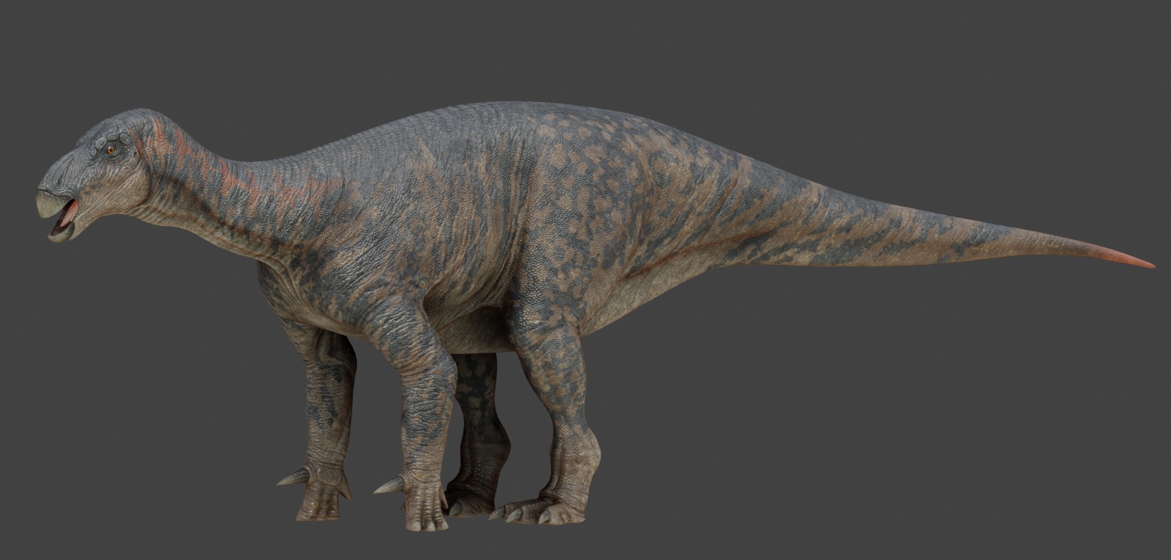 Iguanodon Asset Pack Low-poly 3D model_11