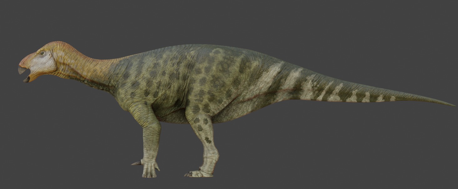 Iguanodon Asset Pack Low-poly 3D model_9