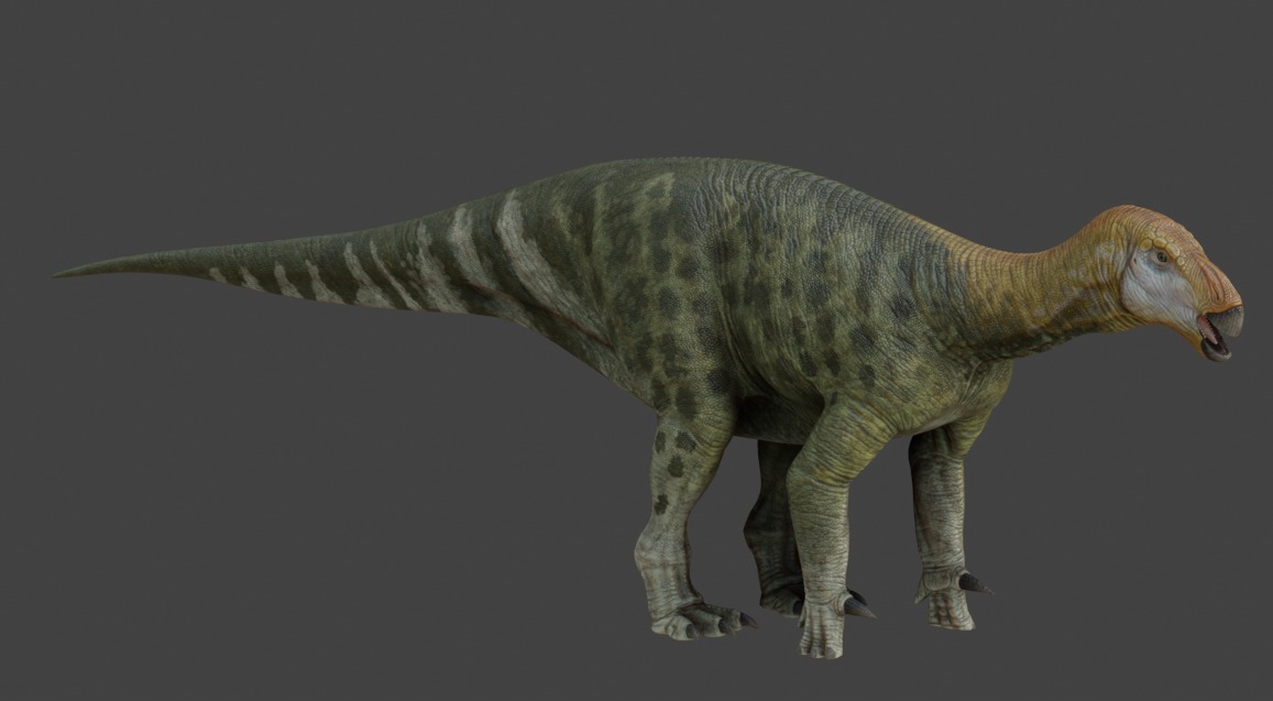 Iguanodon Asset Pack Low-poly 3D model_13