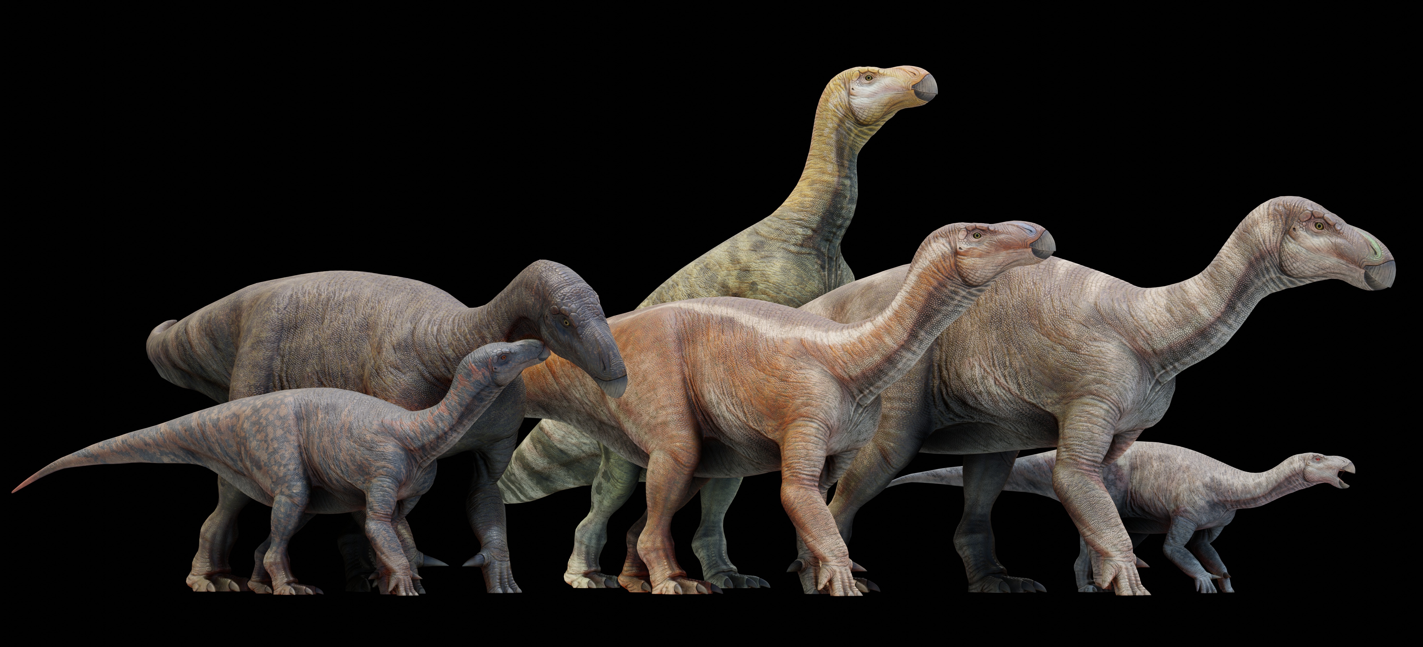 Iguanodon Asset Pack Low-poly 3D model_7