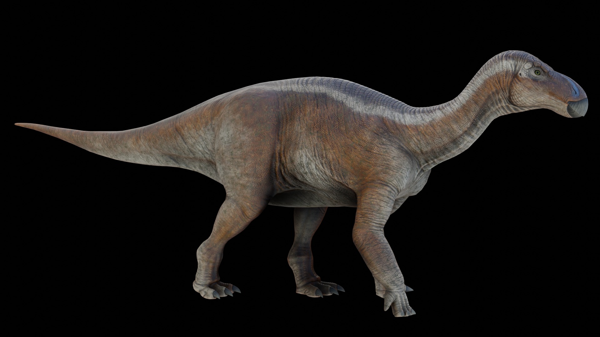 Iguanodon Asset Pack Low-poly 3D model_6