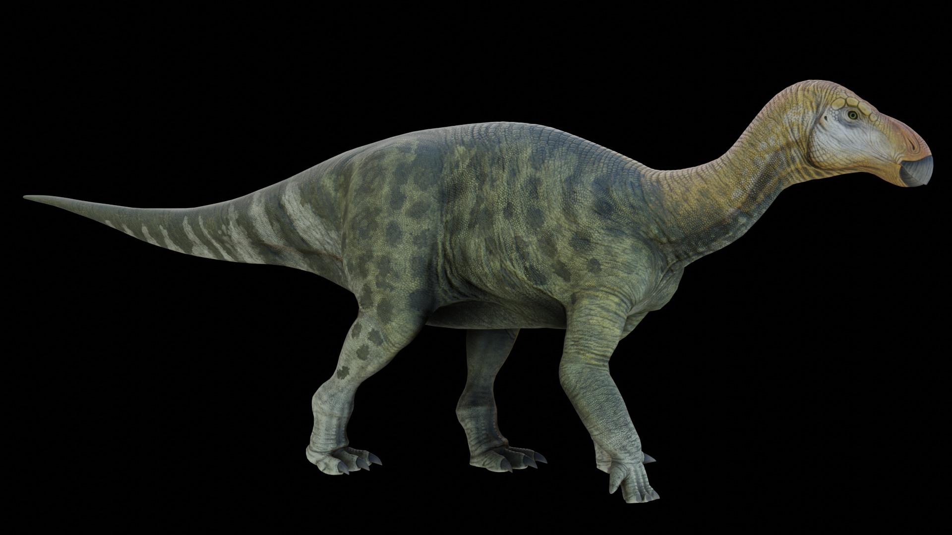 Iguanodon Asset Pack Low-poly 3D model_3