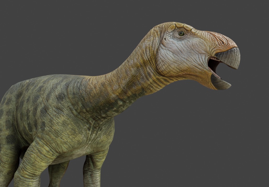 Iguanodon Asset Pack Low-poly 3D model_12