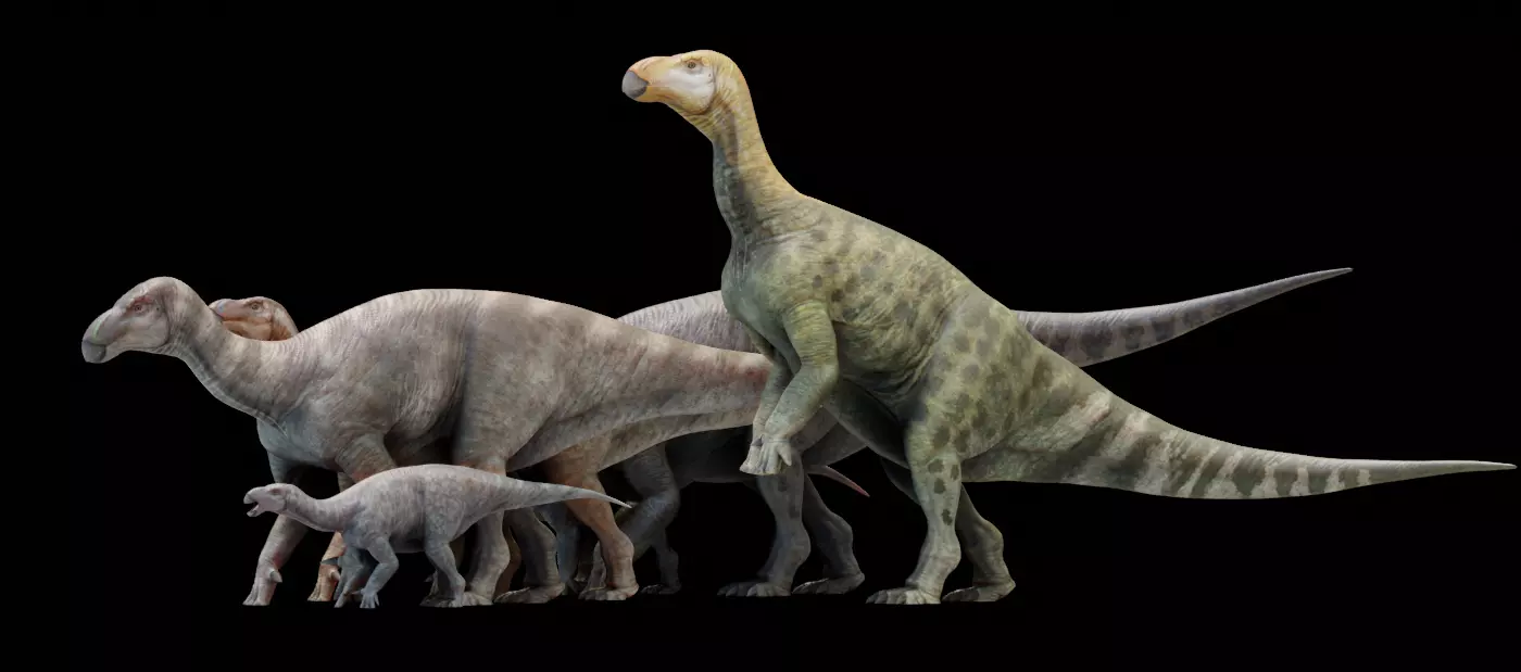 Iguanodon Asset Pack Low-poly 3D model_0