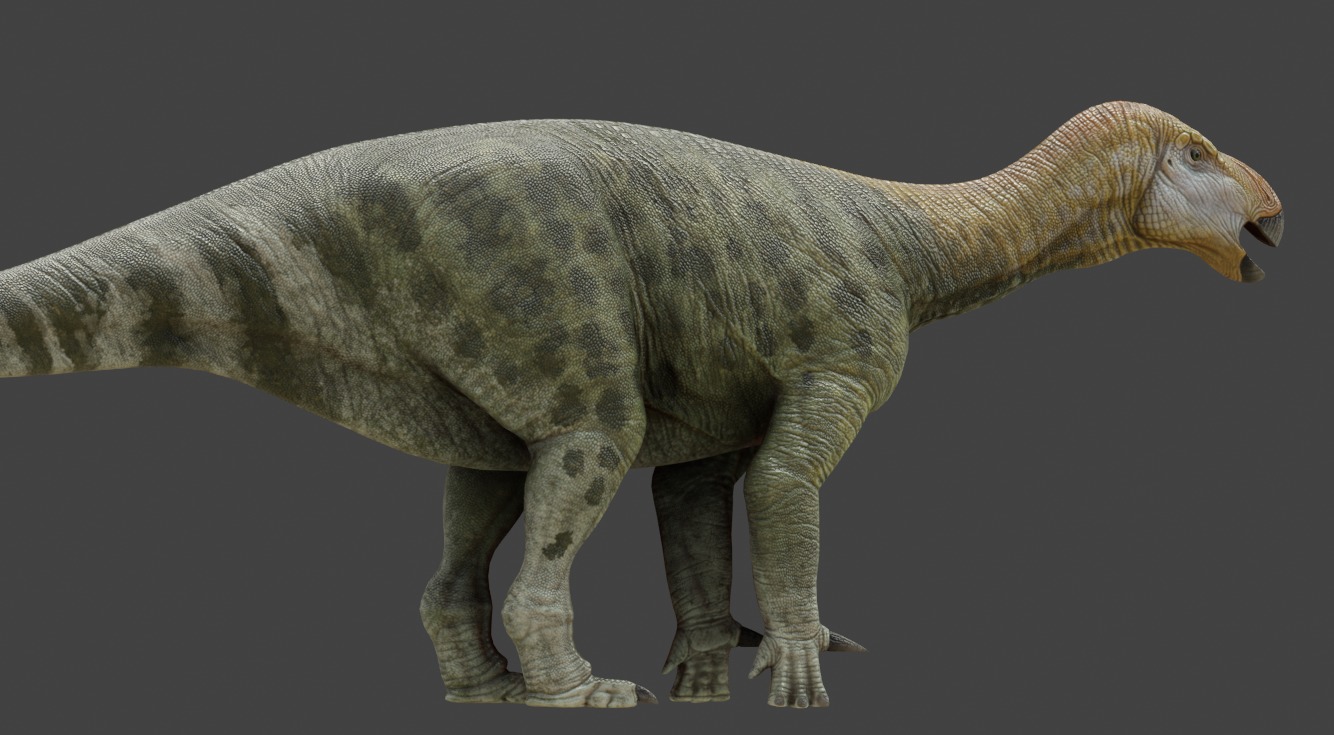 Iguanodon Asset Pack Low-poly 3D model_8