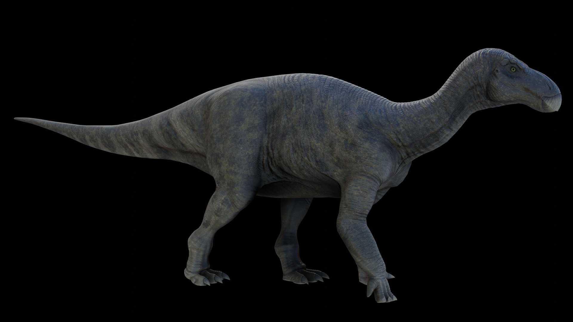 Iguanodon Asset Pack Low-poly 3D model_4