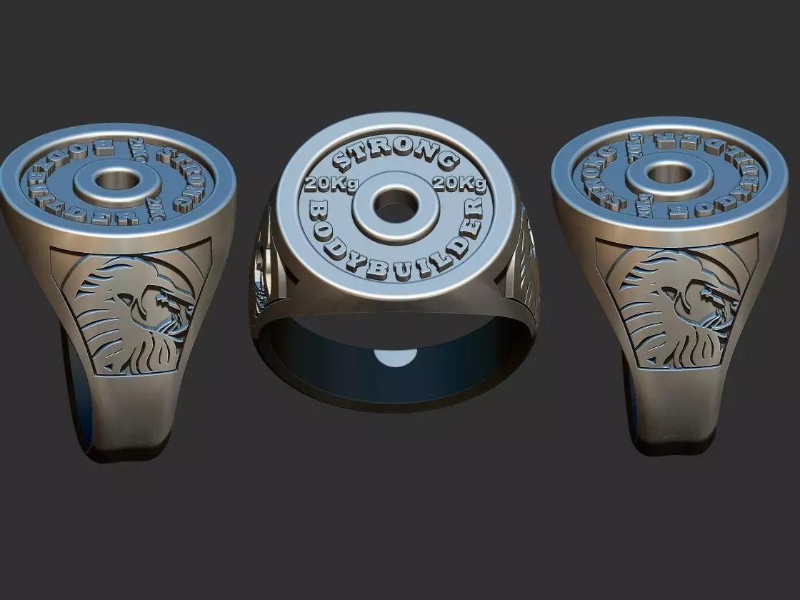 Weight Plate Ring - Anel Anilha 3D print model