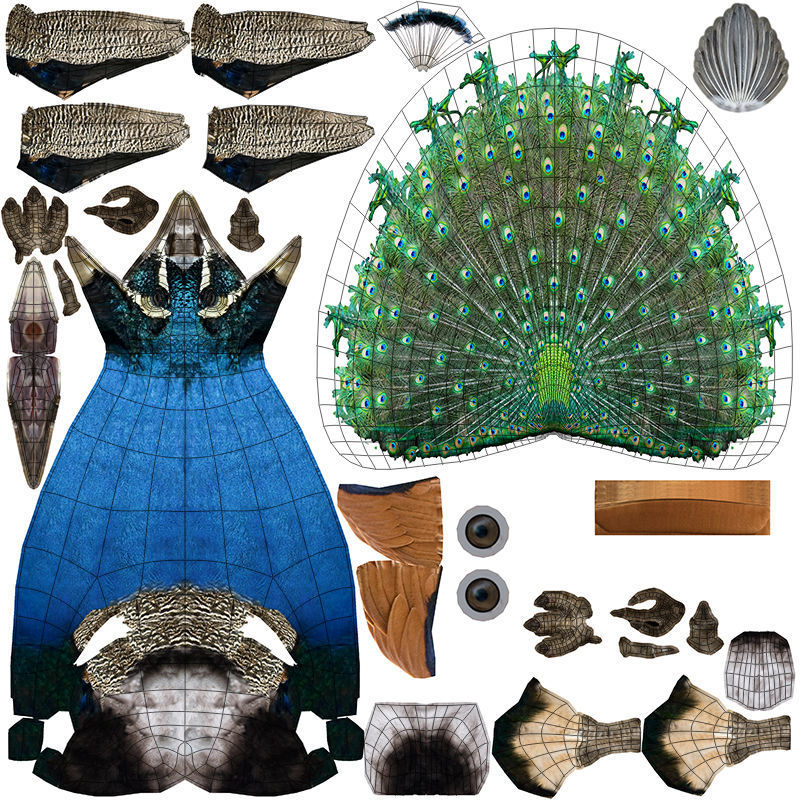 Peacock 3D model_18