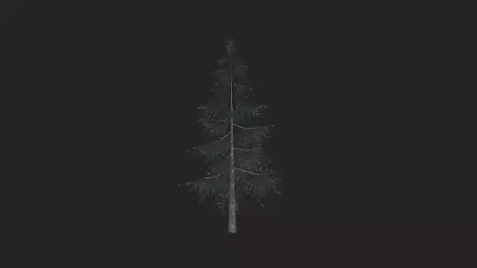 Tree 3D Model 024