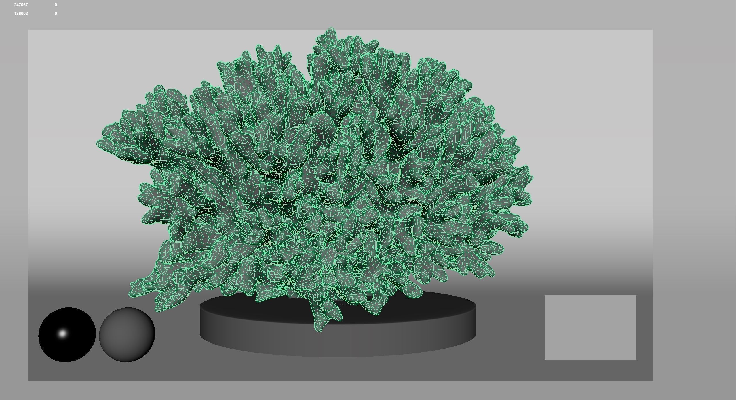 HQ Assets Coral Seriatopora HystrixAB Arnold 3D model_15