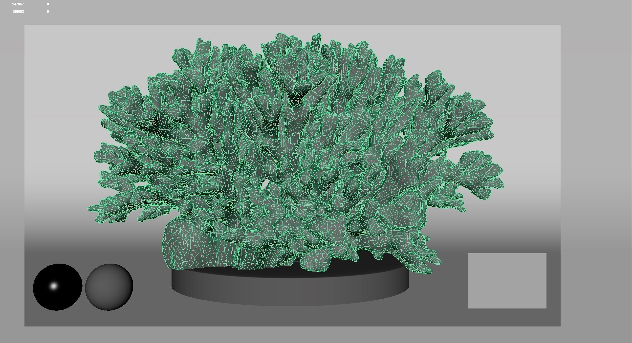 HQ Assets Coral Seriatopora HystrixAB Arnold 3D model_10