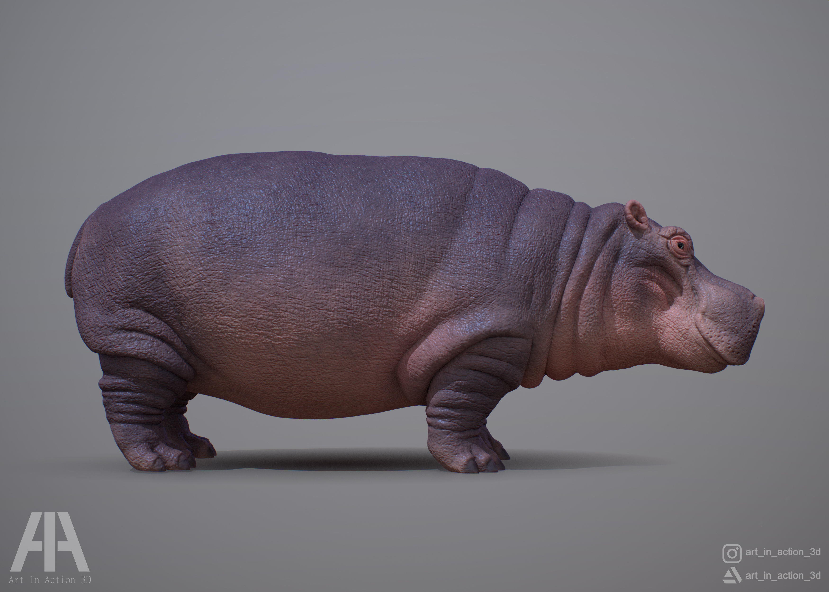 HIPPOPOTAMUS 3D print model_1