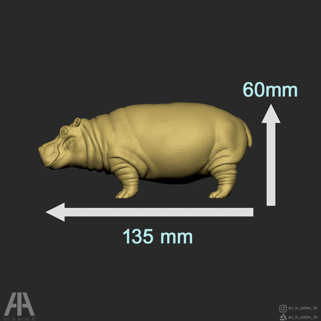 HIPPOPOTAMUS 3D print model_11