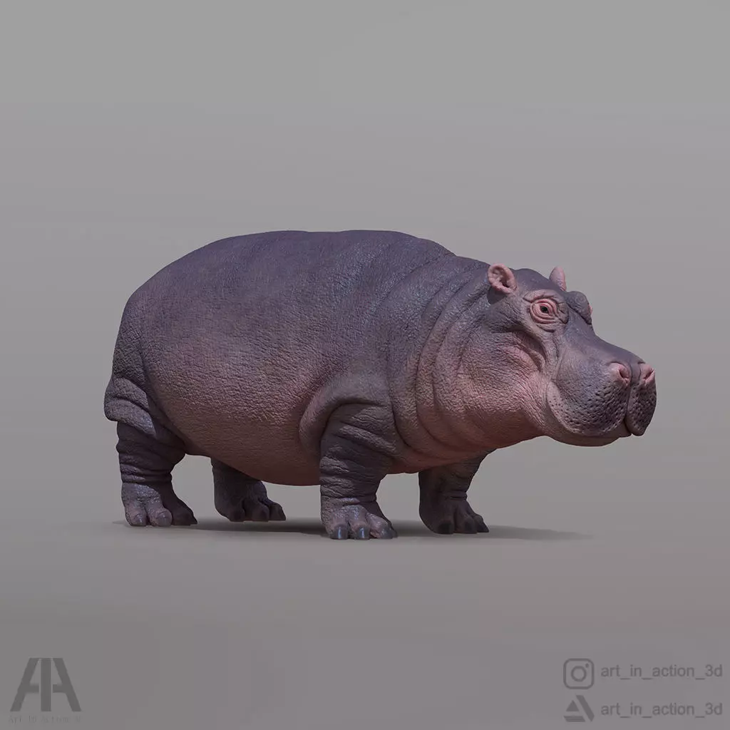HIPPOPOTAMUS 3D print model_0