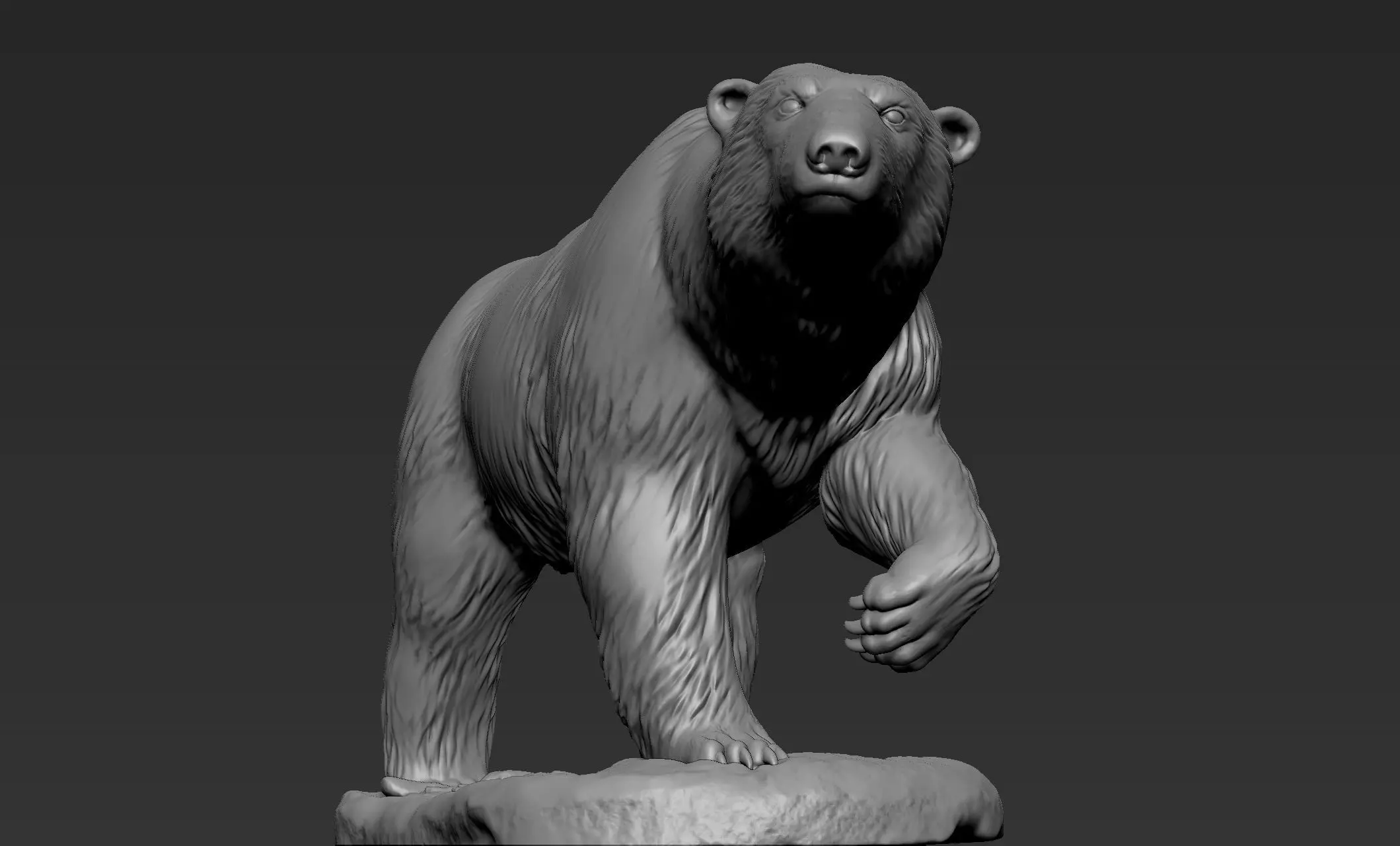 Polar Bear Zbrush Sculpt 3D model