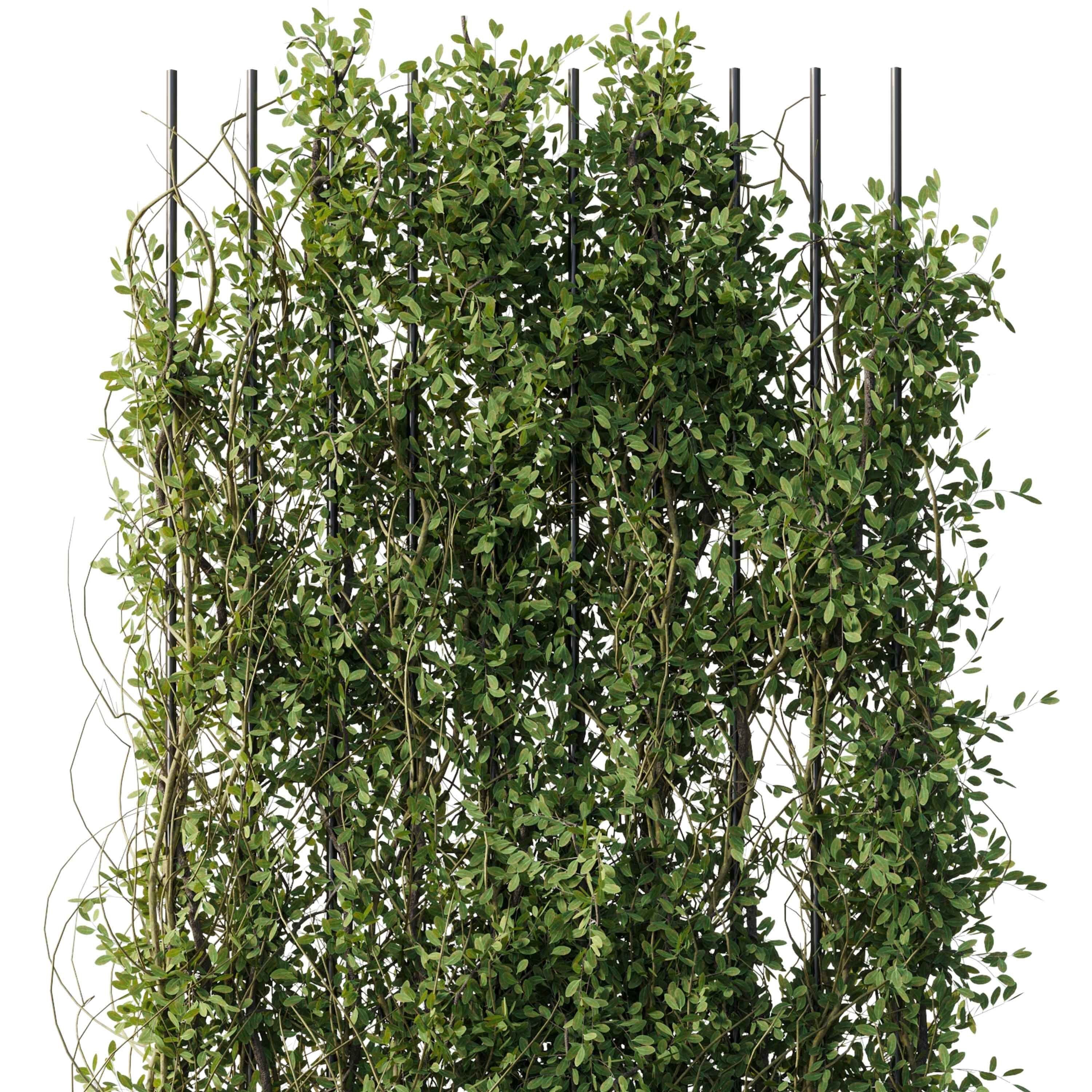 Vertical Garden Partiton Set 88 - Ivy on the fence 3D model_5