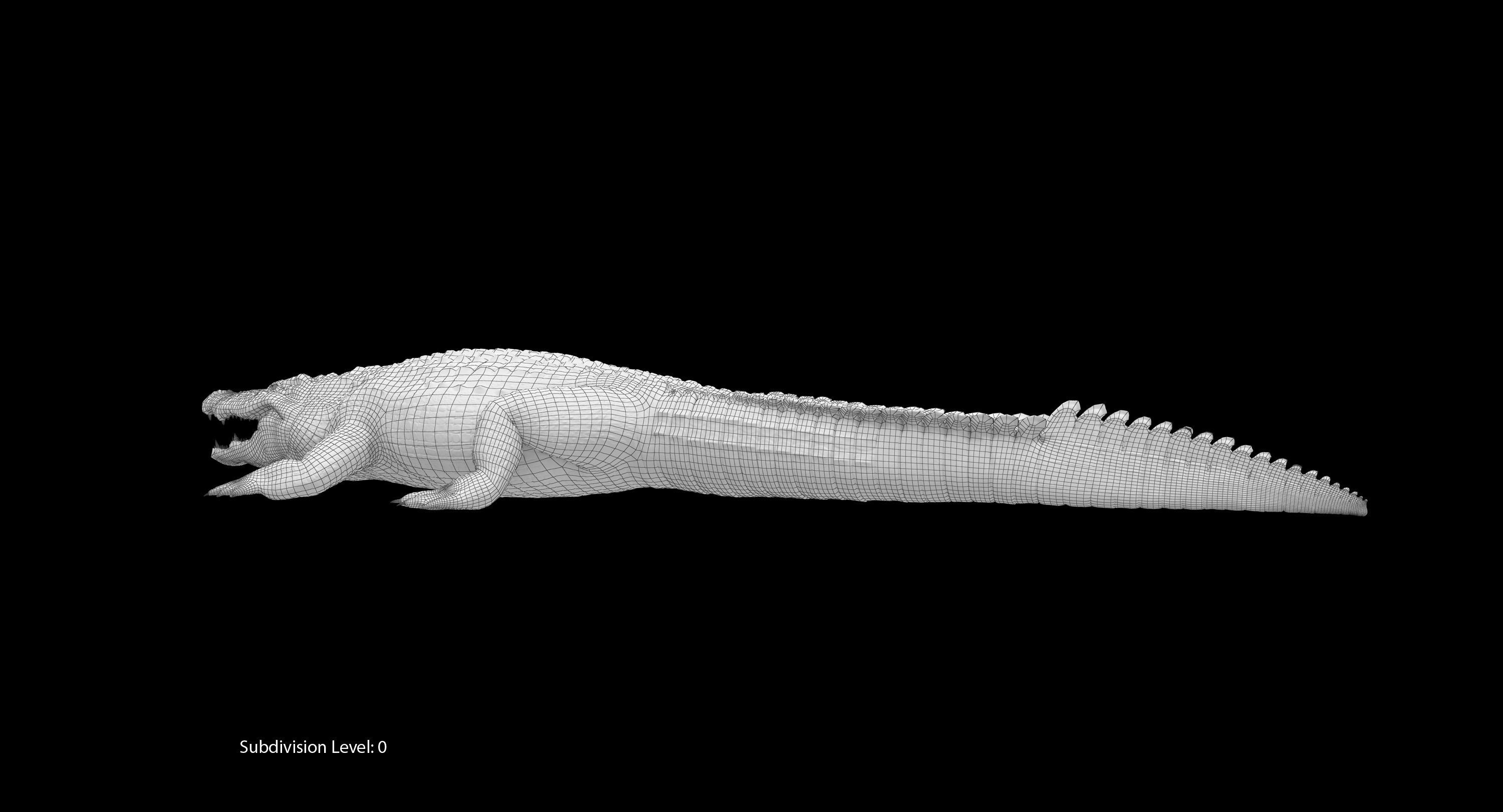 Large Nile Crocodile Low-poly 3D model_28
