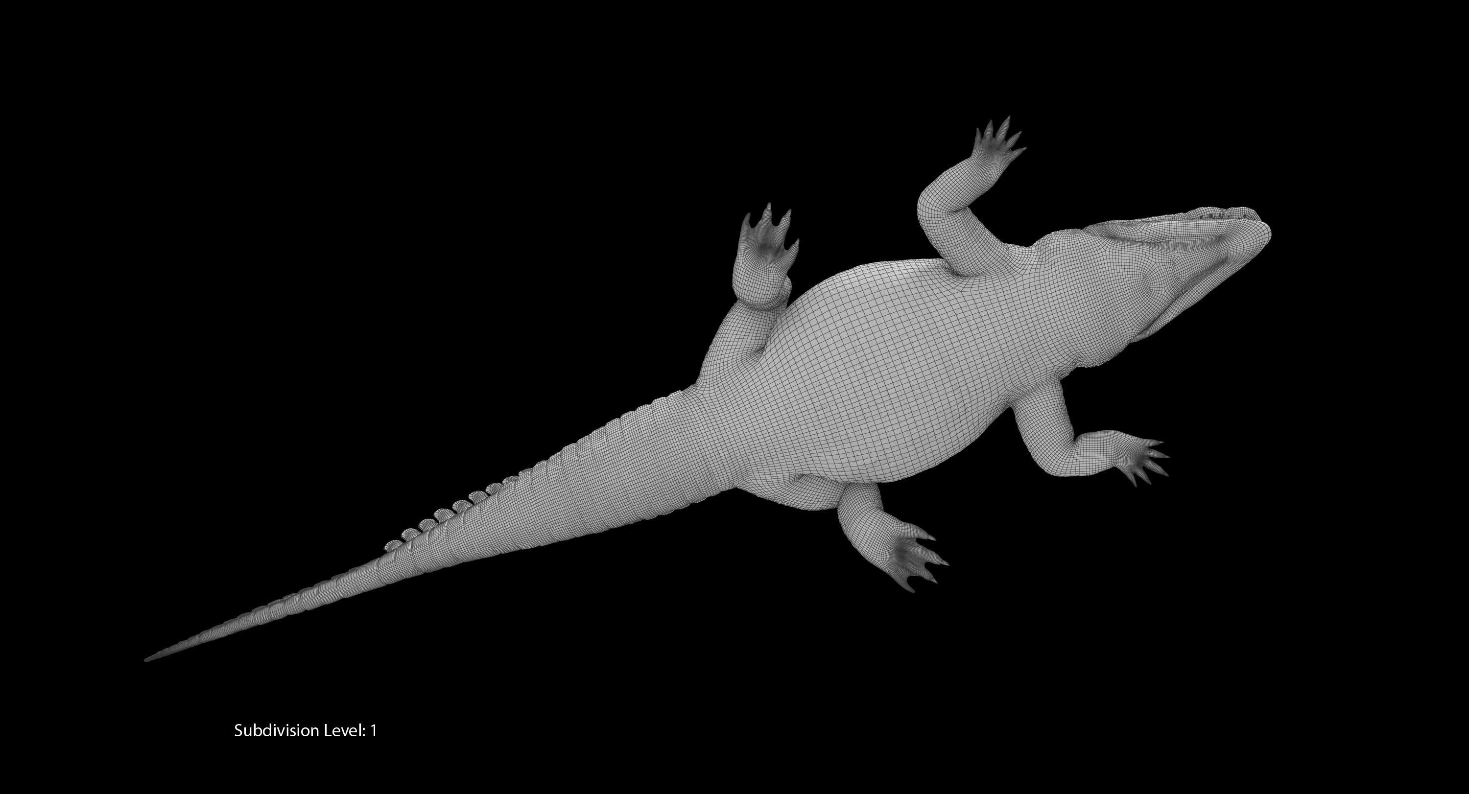 Large Nile Crocodile Low-poly 3D model_35