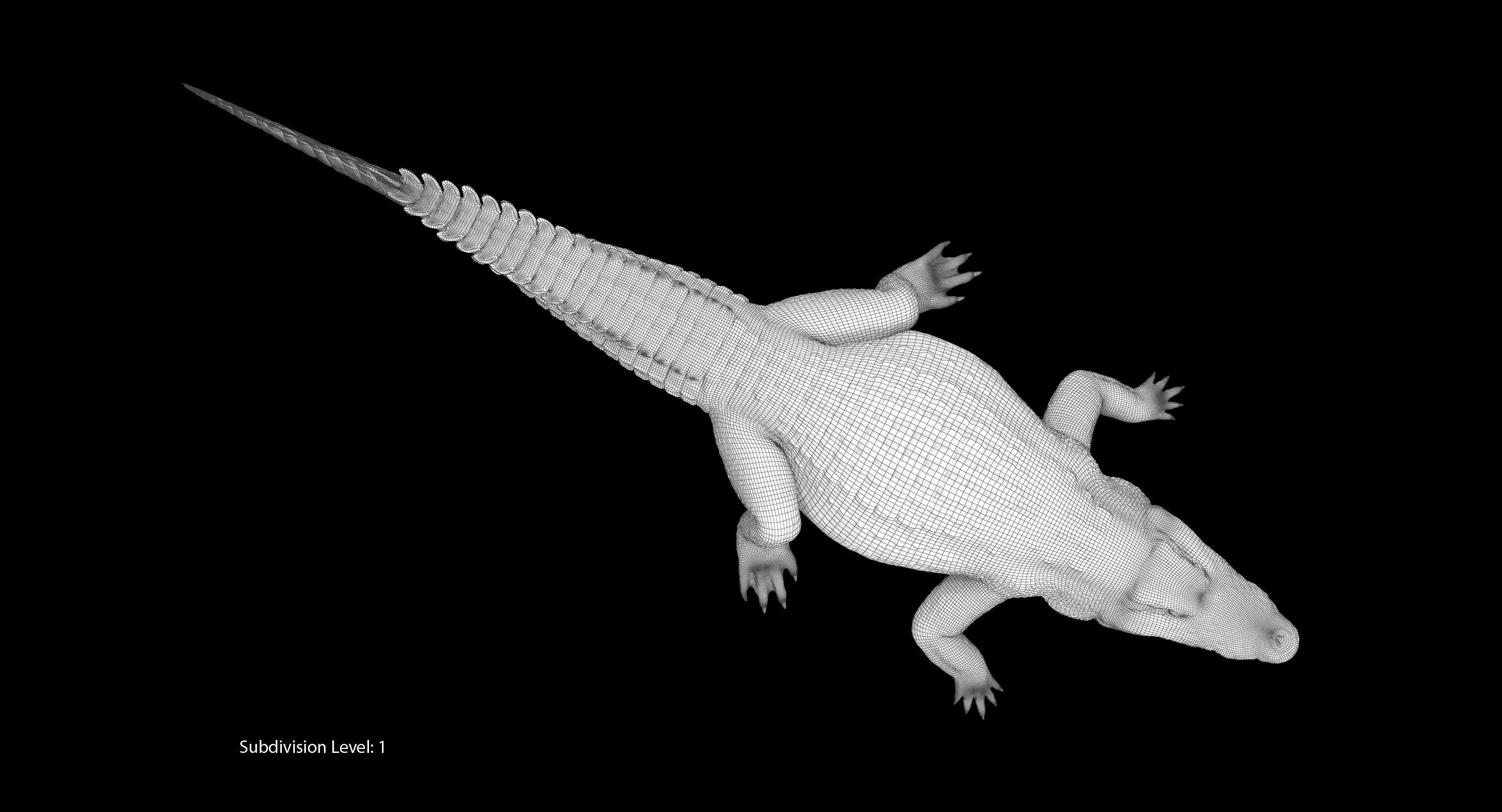 Large Nile Crocodile Low-poly 3D model_33