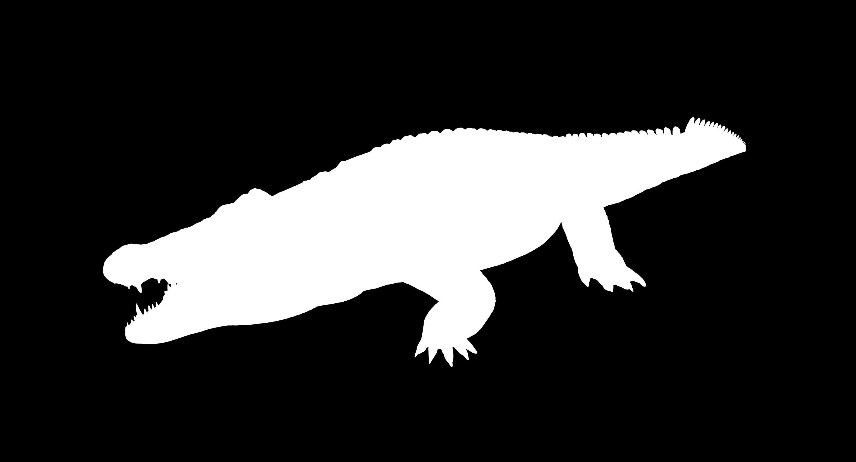 Large Nile Crocodile Low-poly 3D model_1