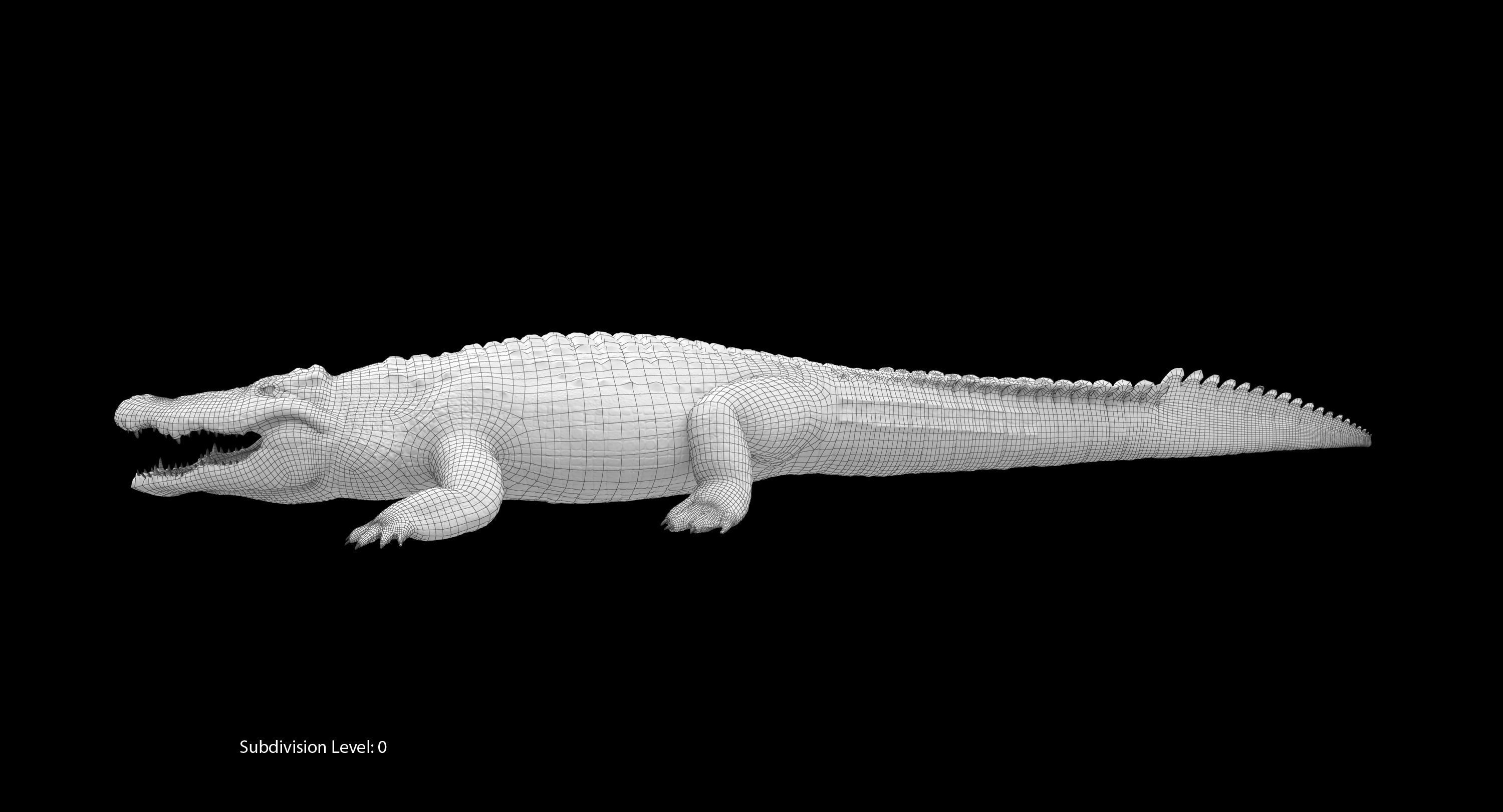 Large Nile Crocodile Low-poly 3D model_30