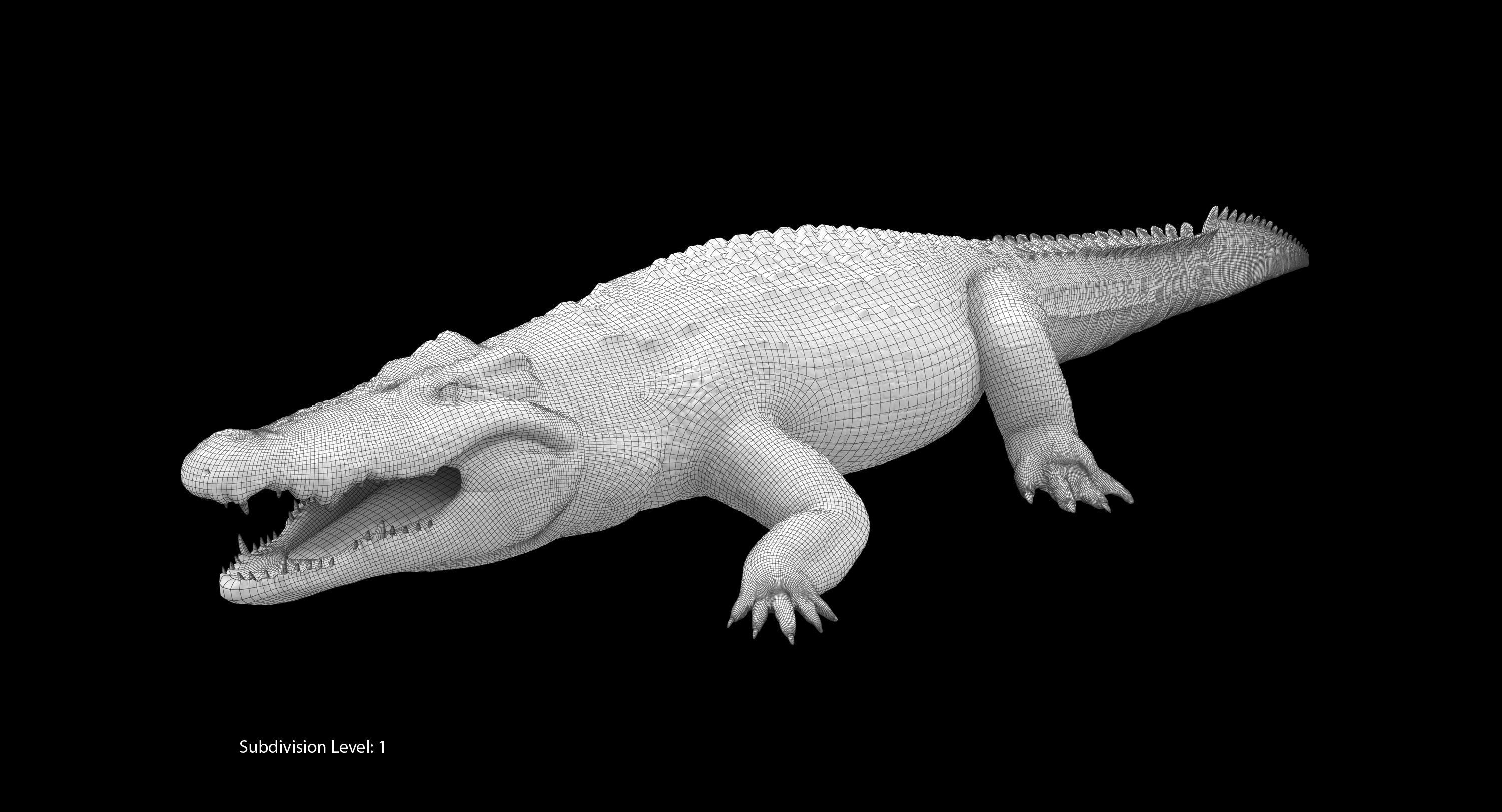 Large Nile Crocodile Low-poly 3D model_21