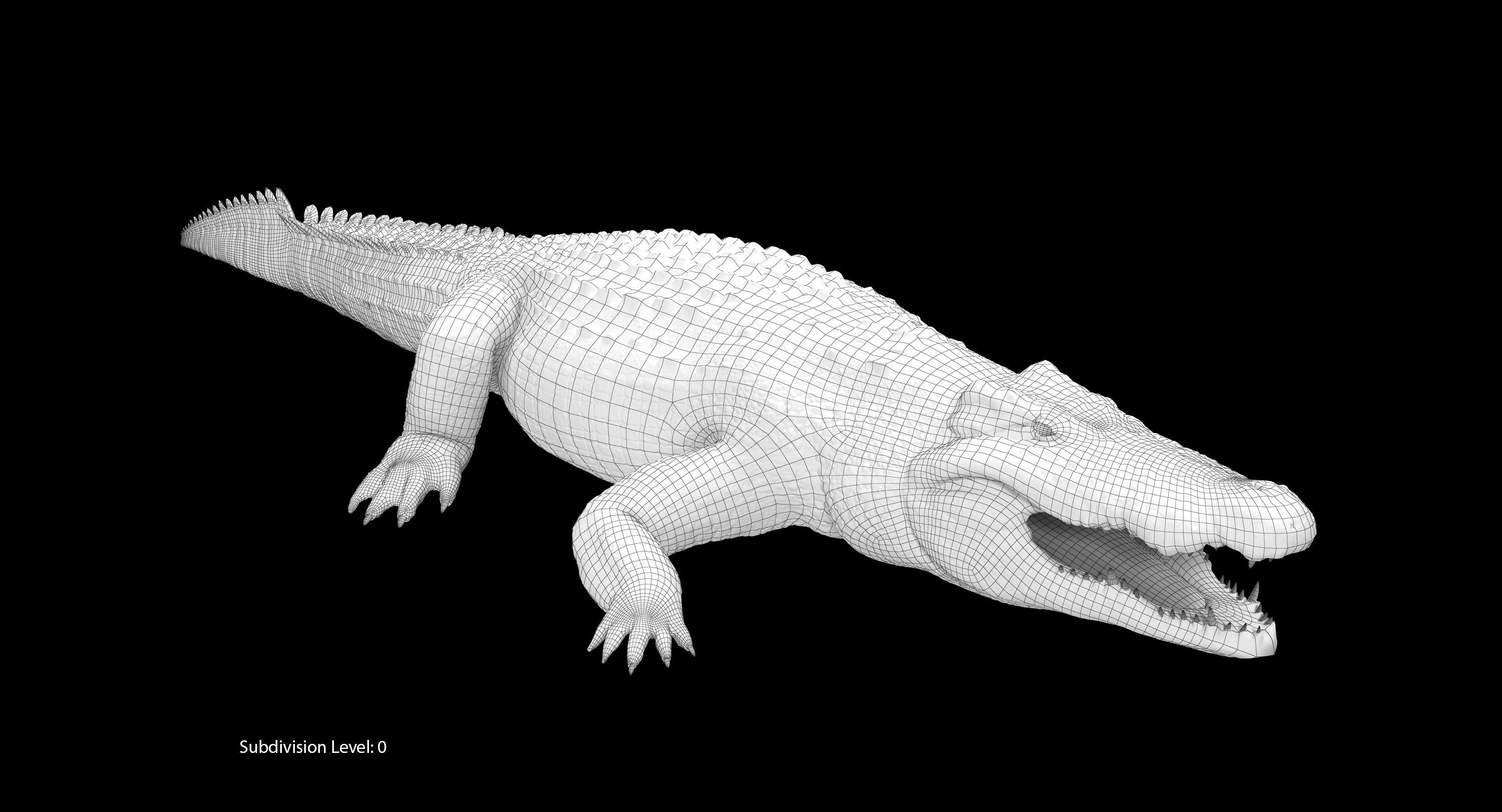 Large Nile Crocodile Low-poly 3D model_20