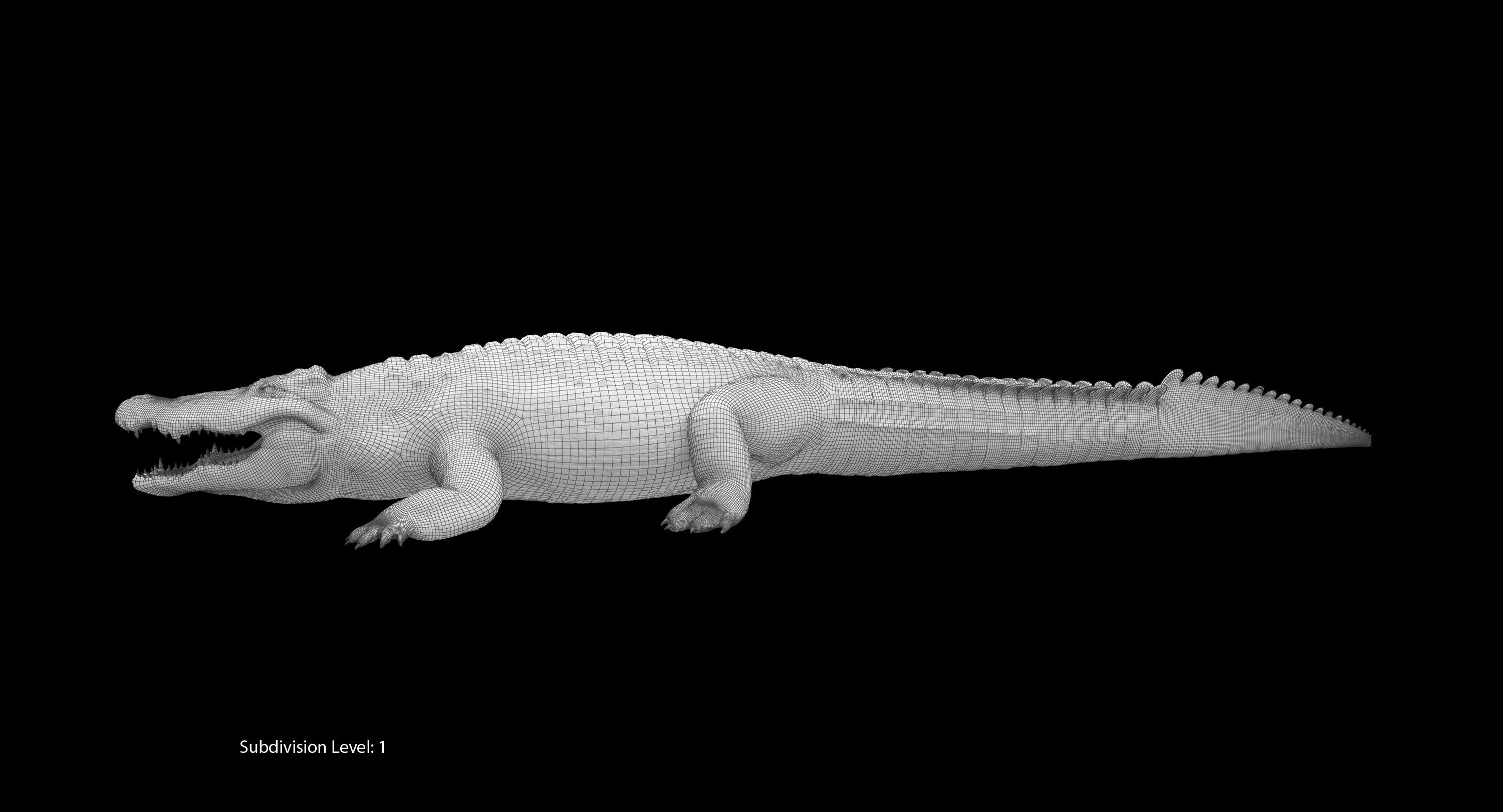 Large Nile Crocodile Low-poly 3D model_31