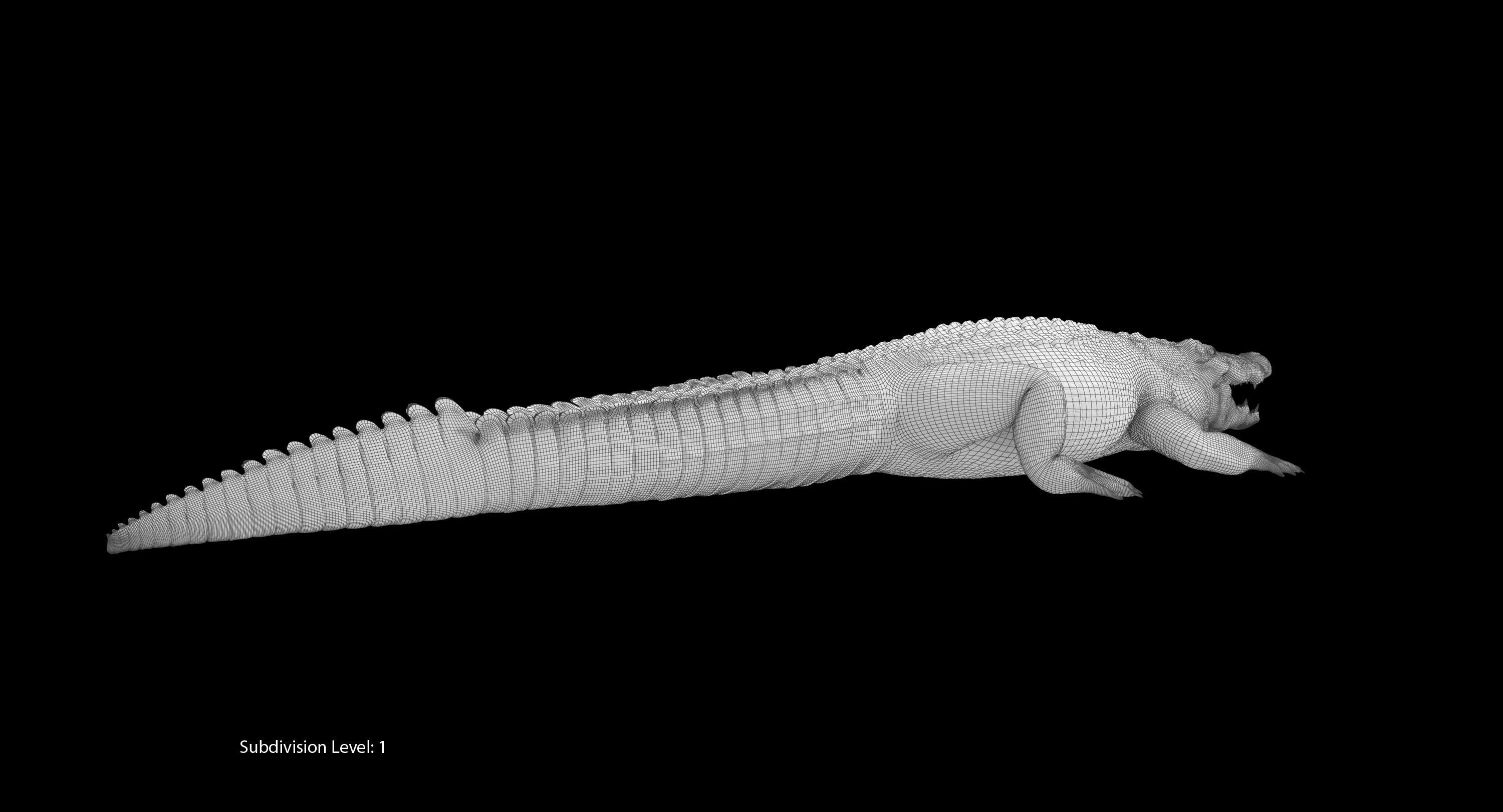Large Nile Crocodile Low-poly 3D model_25