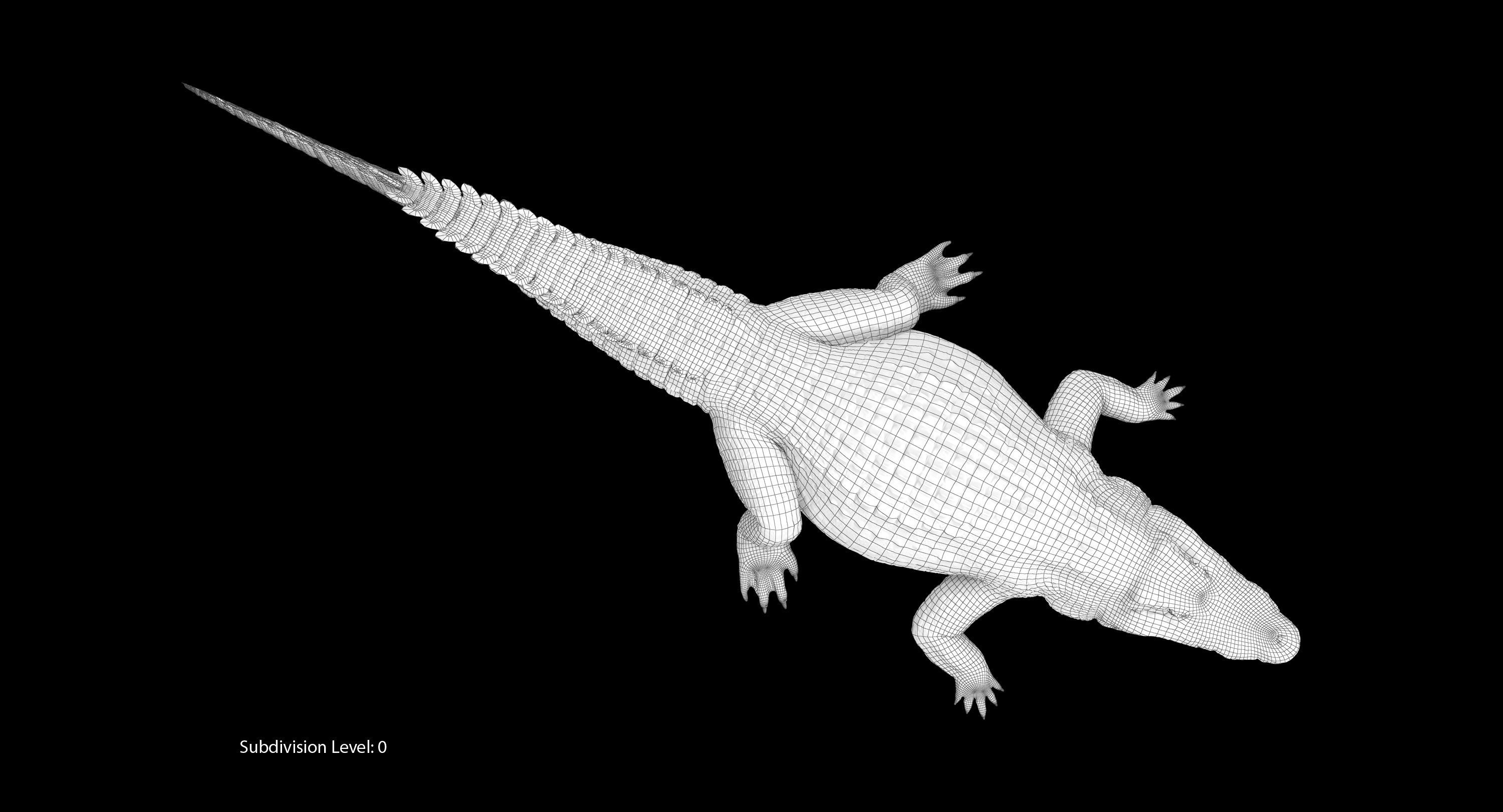 Large Nile Crocodile Low-poly 3D model_32