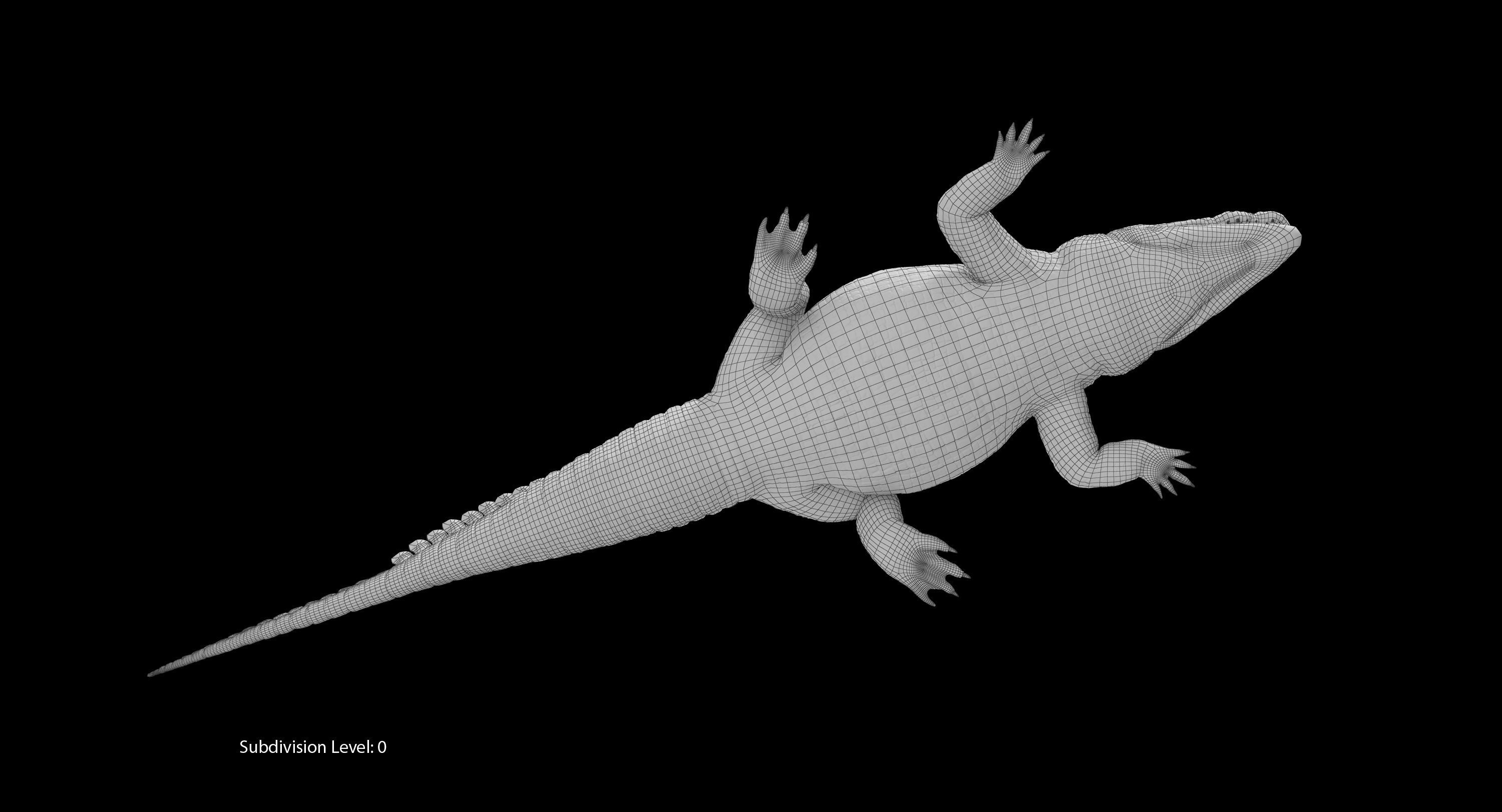 Large Nile Crocodile Low-poly 3D model_34