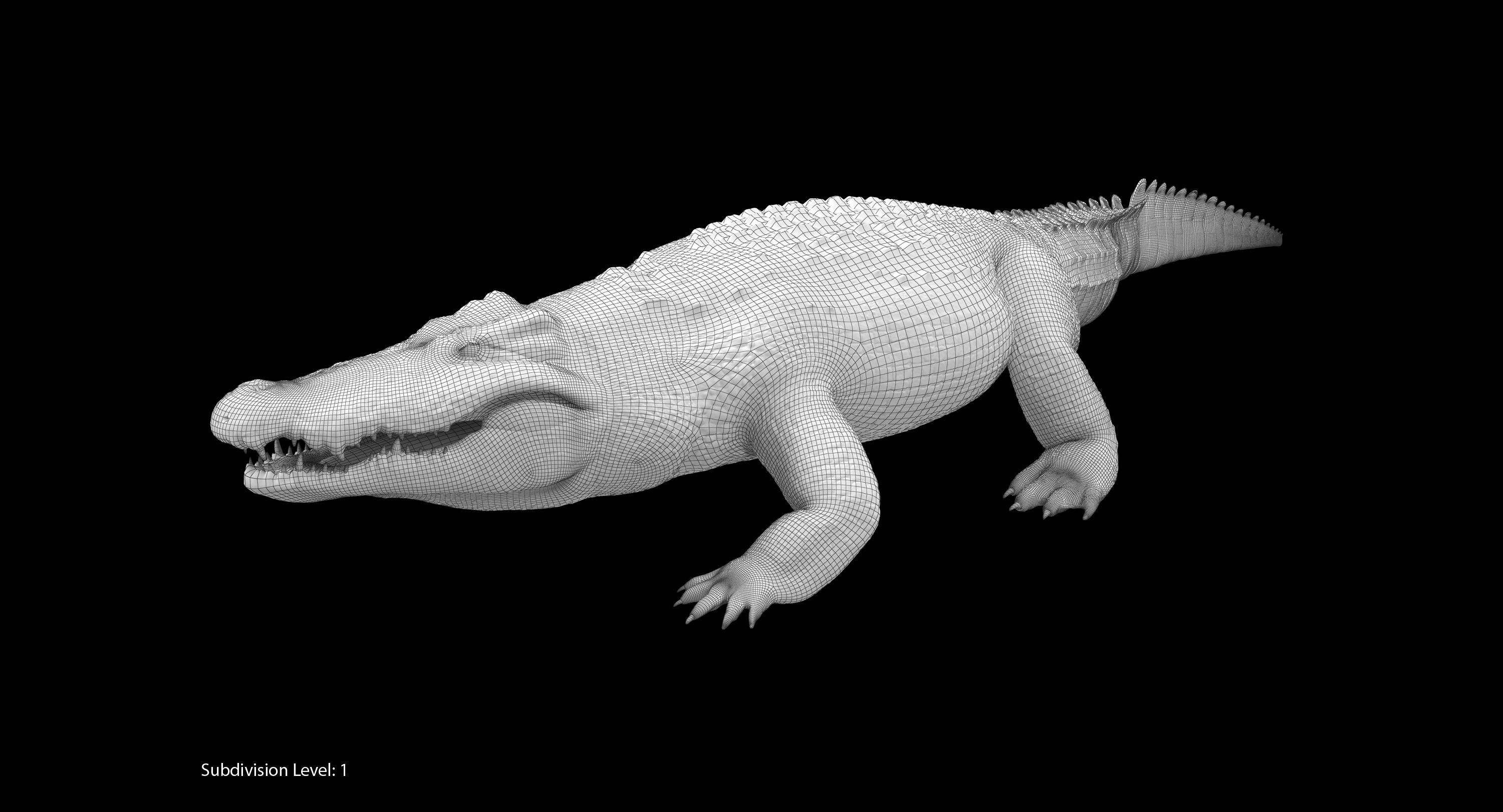Large Nile Crocodile Rigged Low-poly 3D model_22