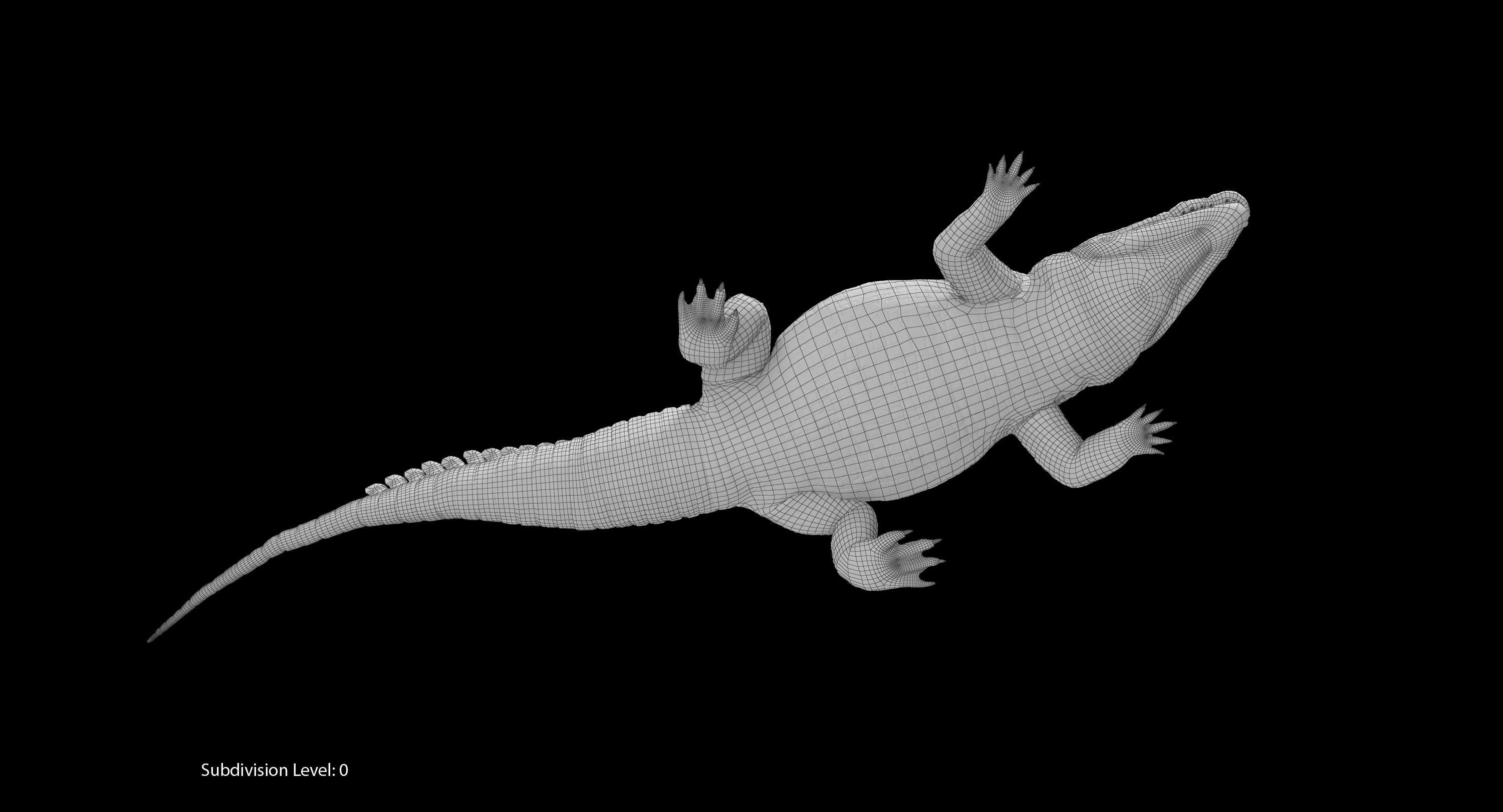 Large Nile Crocodile Rigged Low-poly 3D model_35