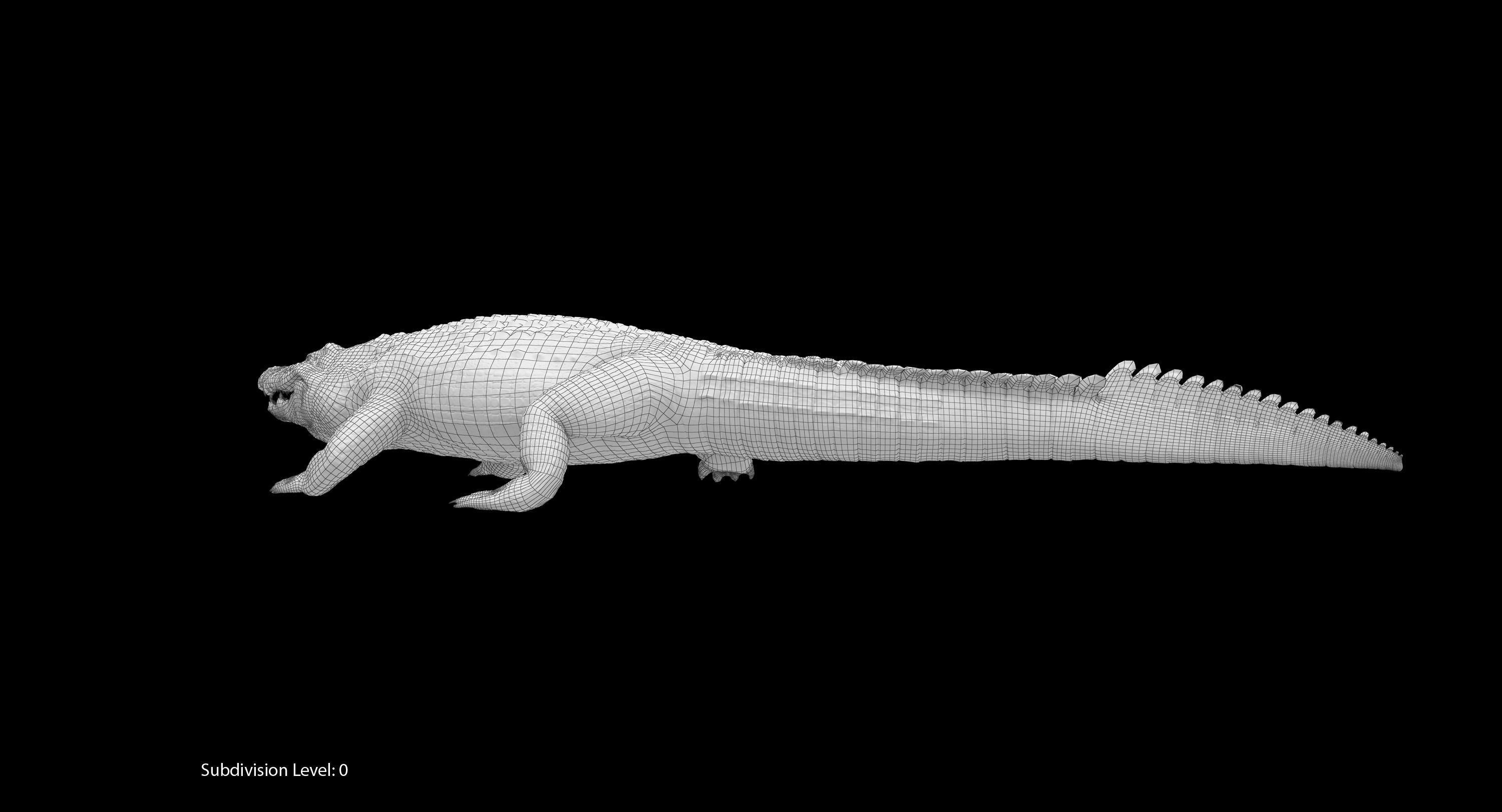 Large Nile Crocodile Rigged Low-poly 3D model_29