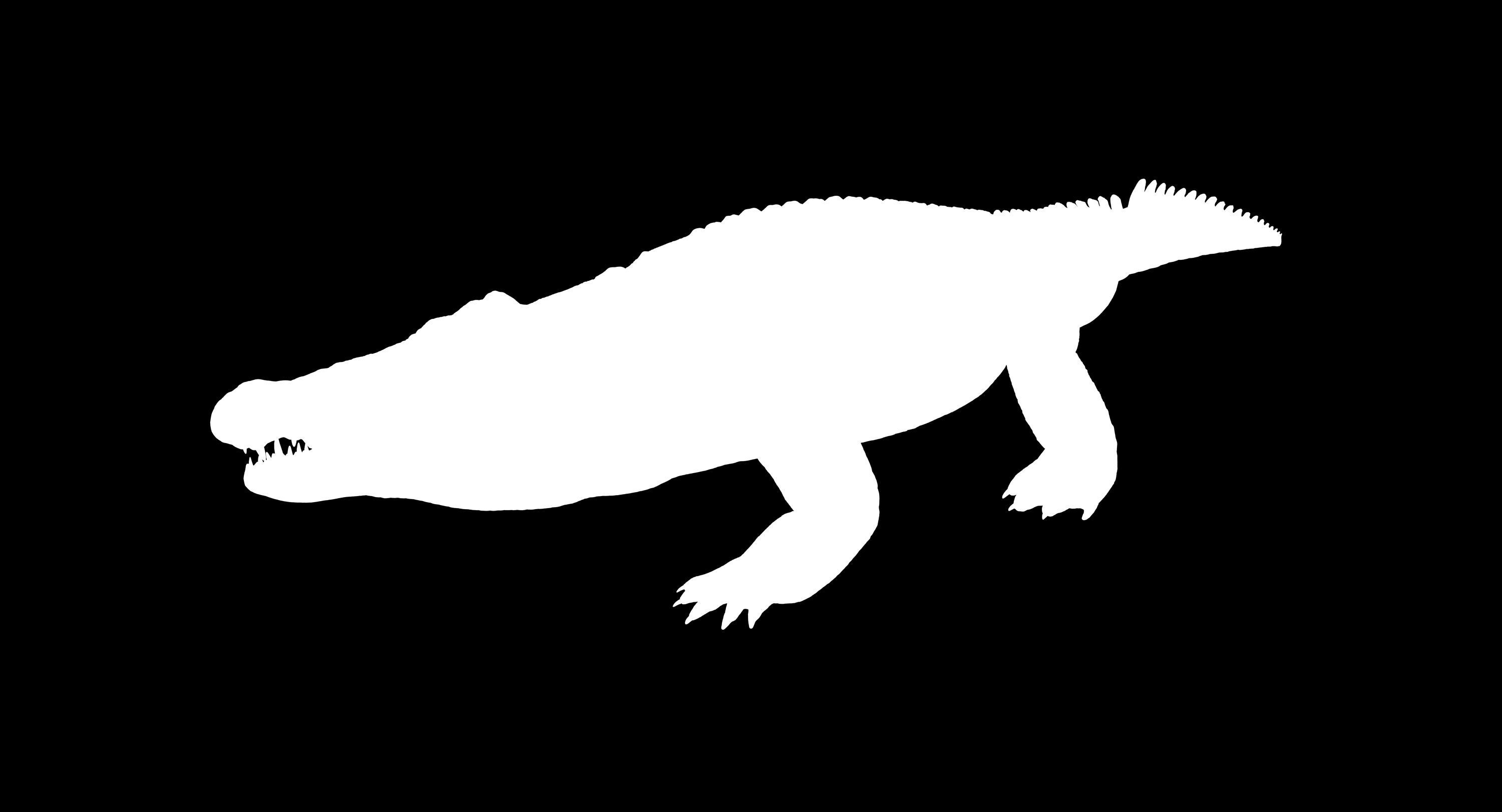 Large Nile Crocodile Rigged Low-poly 3D model_2