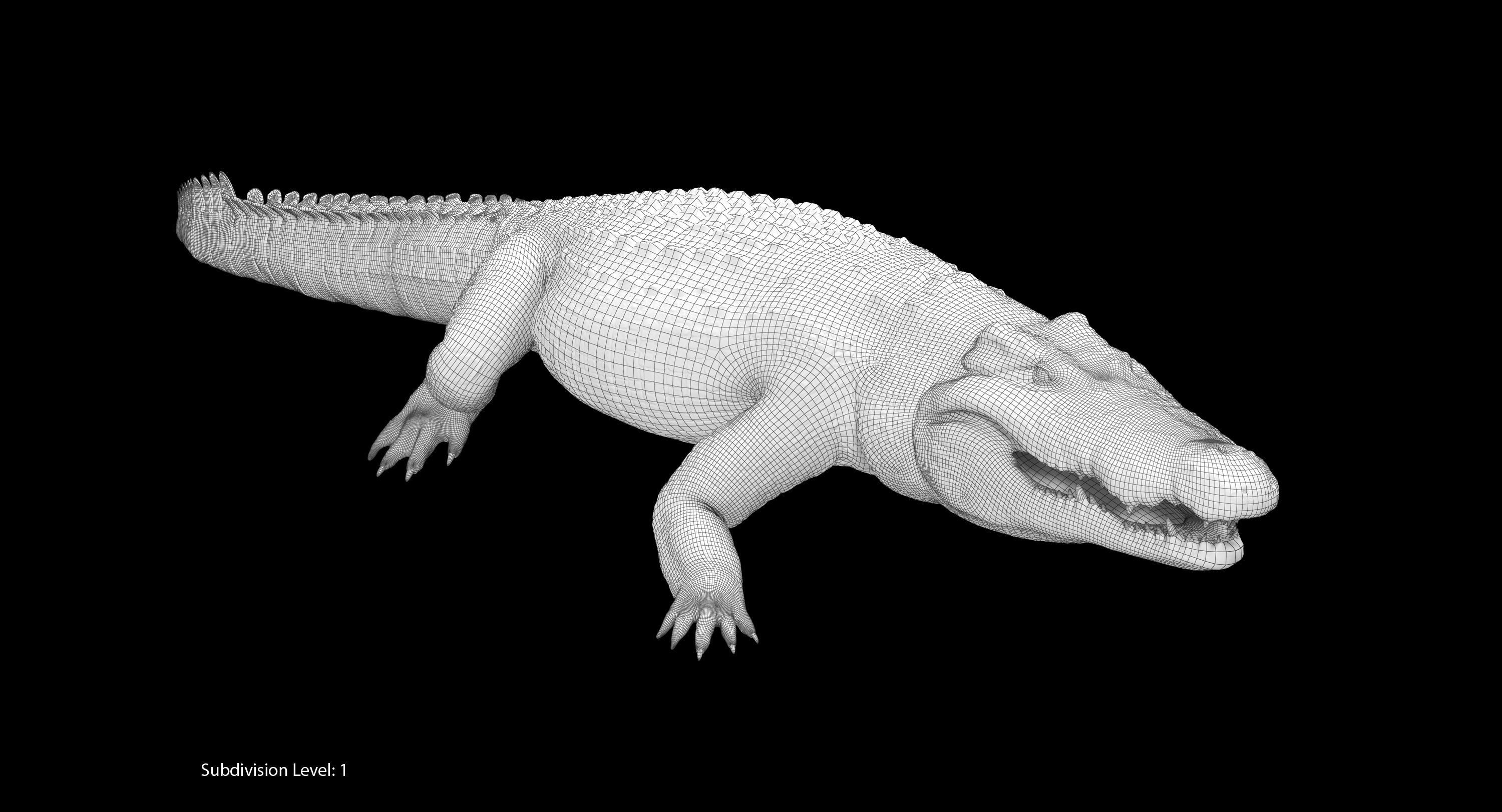 Large Nile Crocodile Rigged Low-poly 3D model_24
