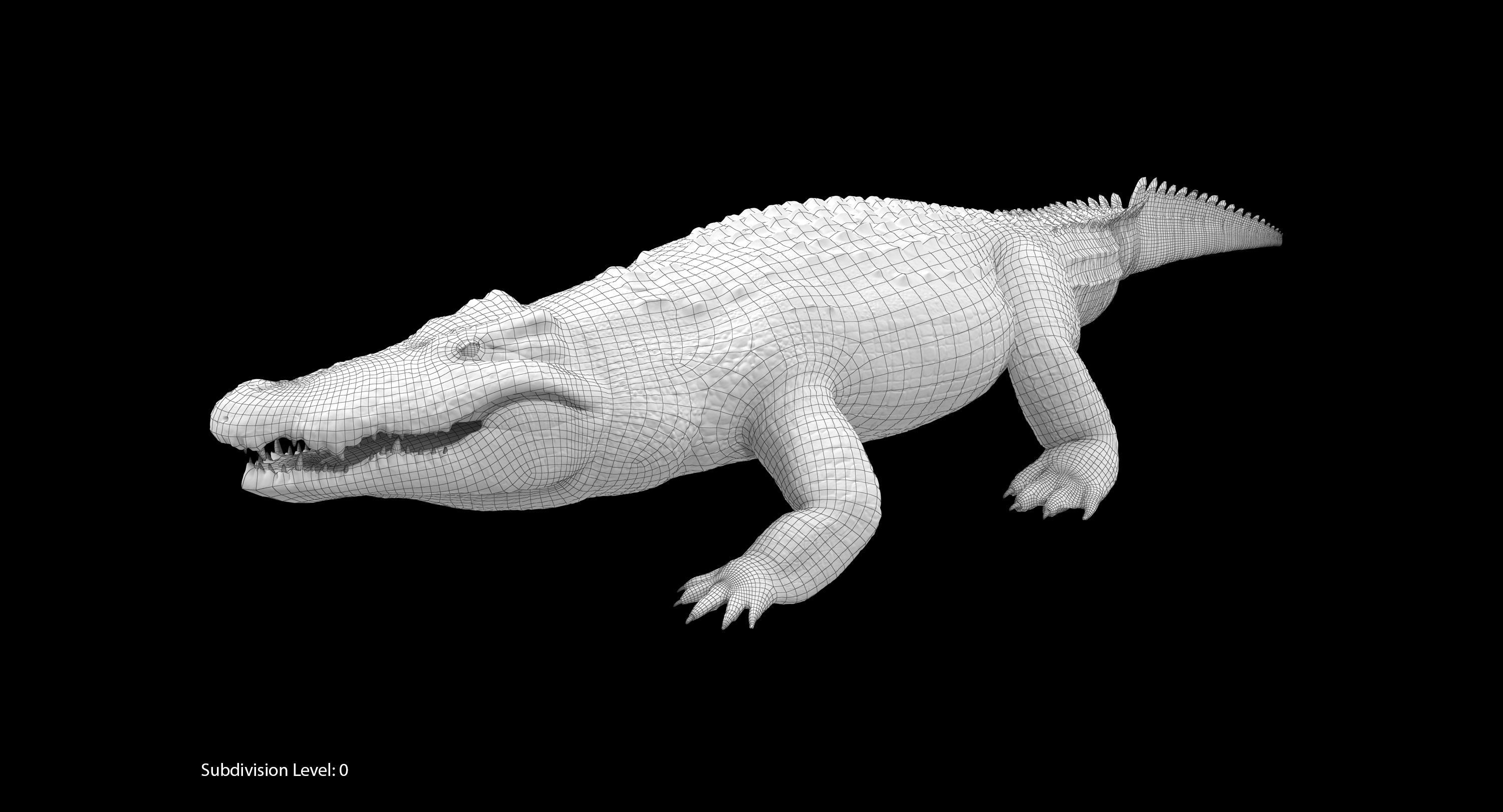 Large Nile Crocodile Rigged Low-poly 3D model_21