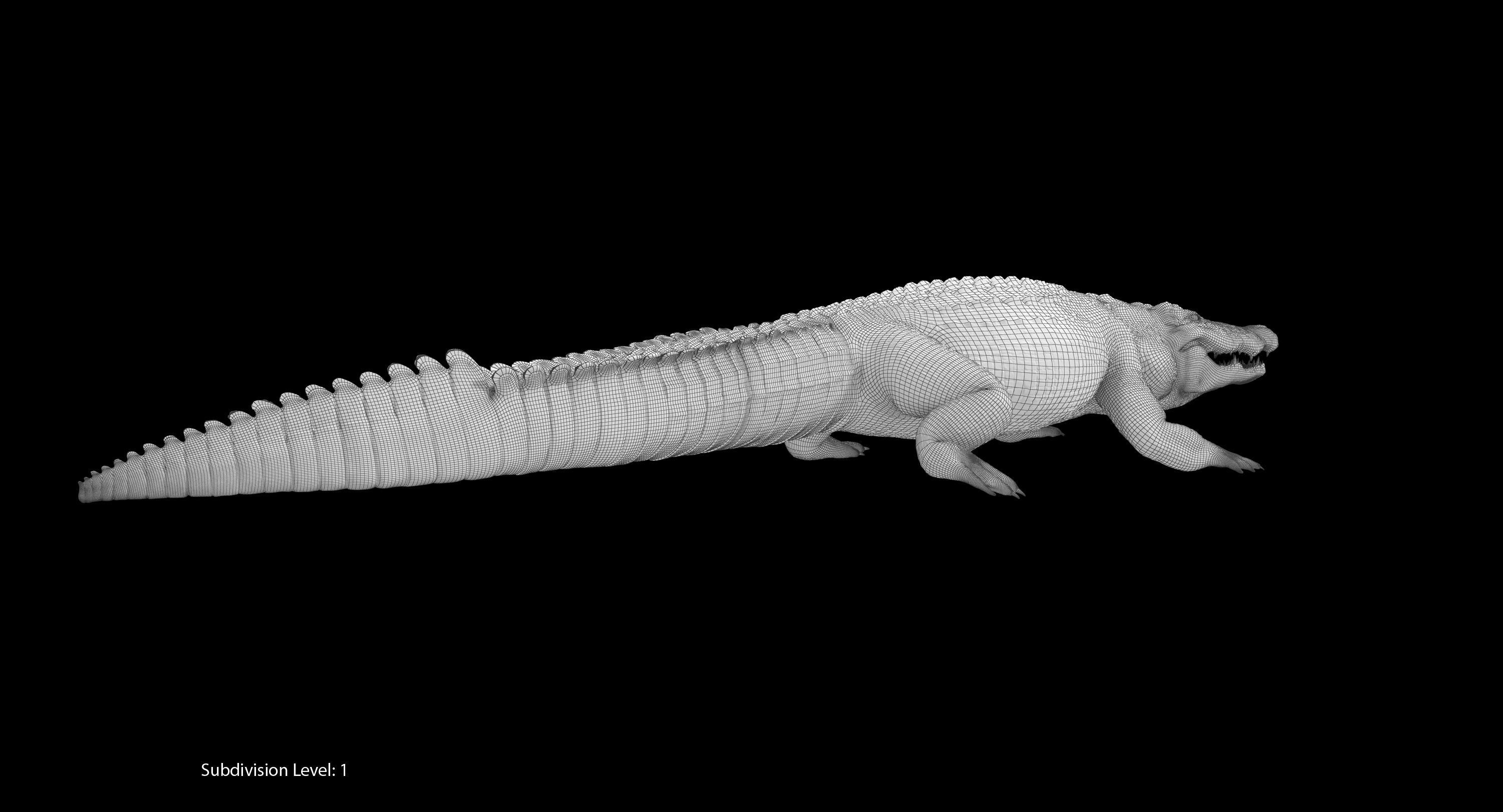 Large Nile Crocodile Rigged Low-poly 3D model_26