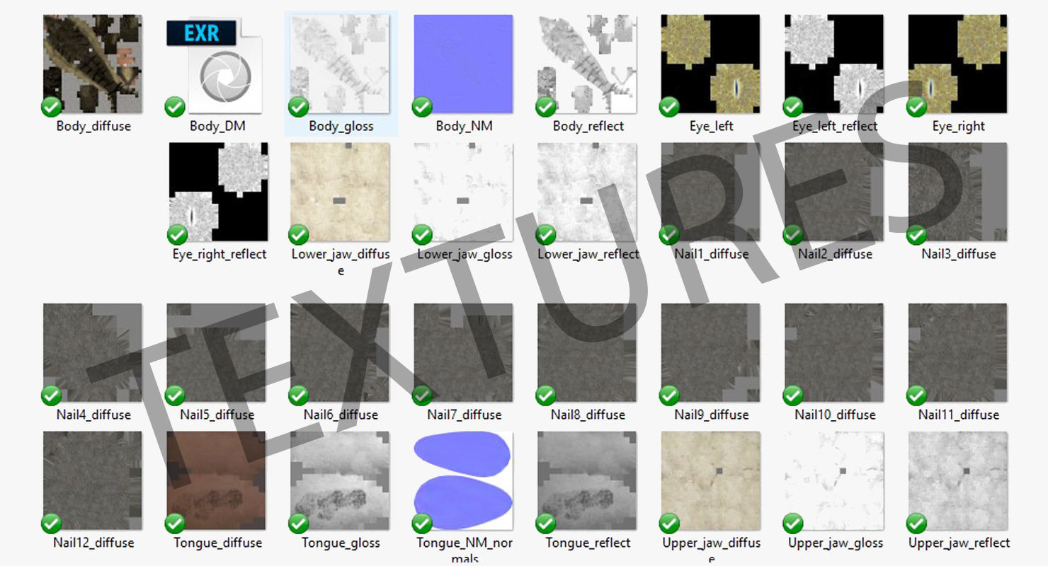 Large Nile Crocodile Rigged Low-poly 3D model_39