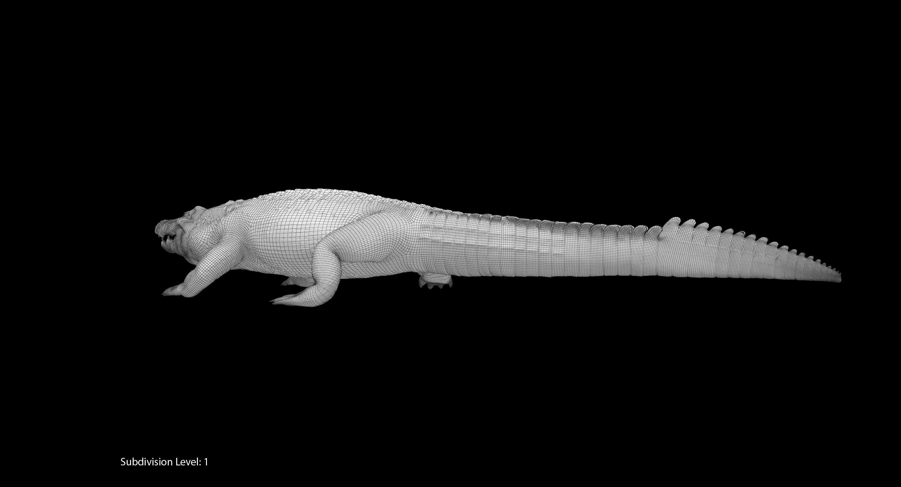 Large Nile Crocodile Rigged Low-poly 3D model_30