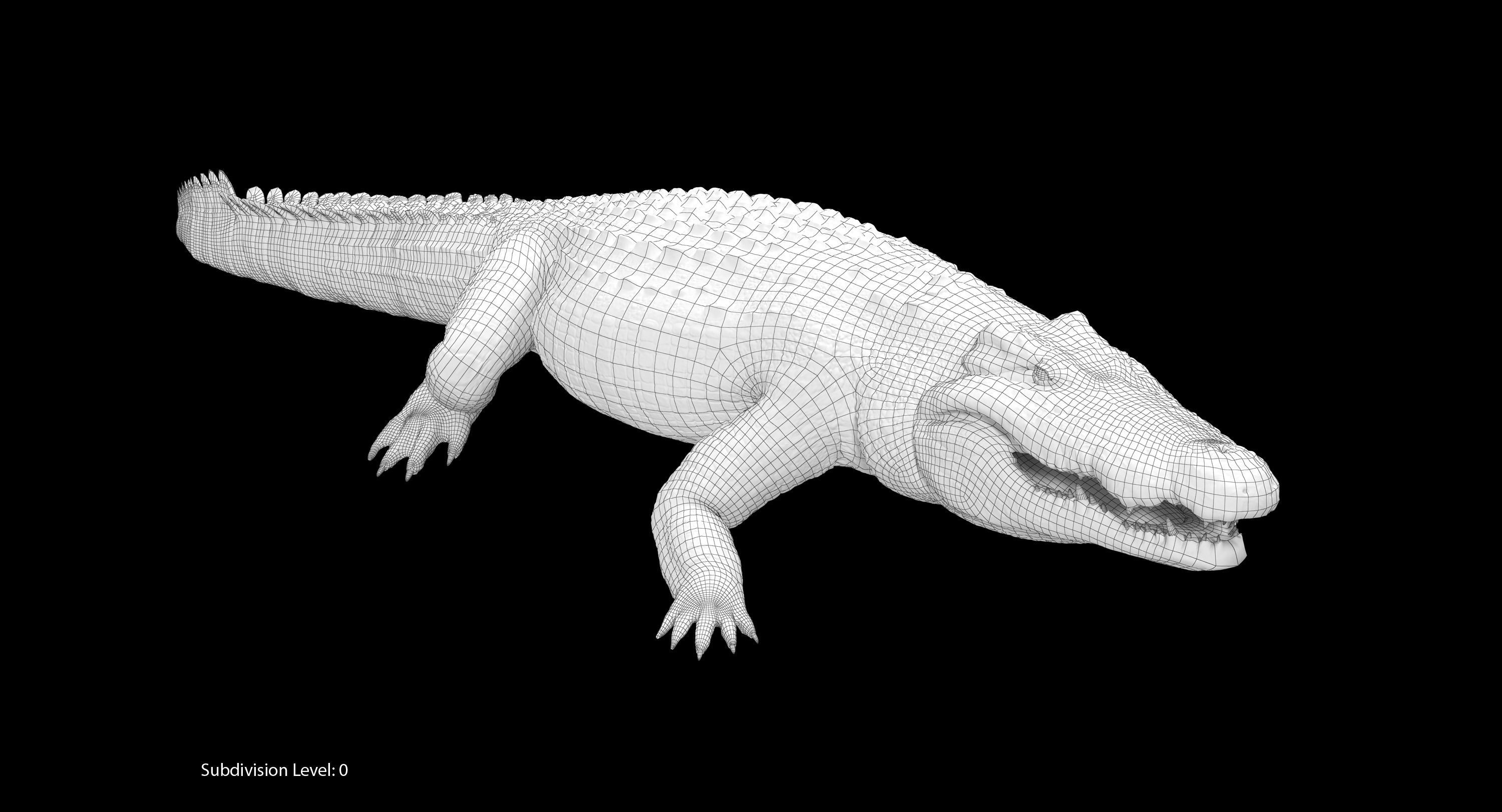 Large Nile Crocodile Rigged Low-poly 3D model_23